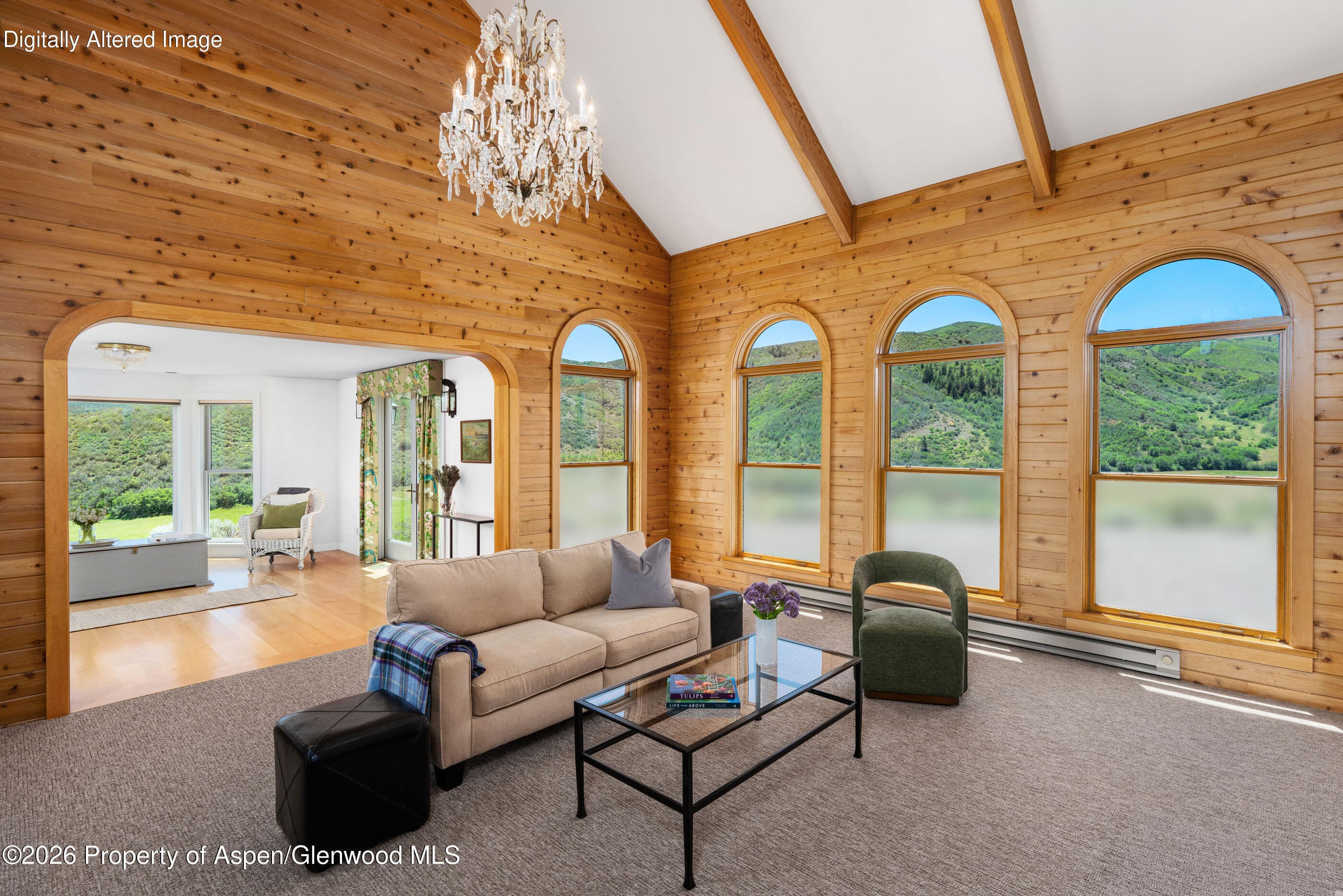 679 Brush Creek & Tbd Medicine Bow Road, Aspen, CO 81611 - Photo 20