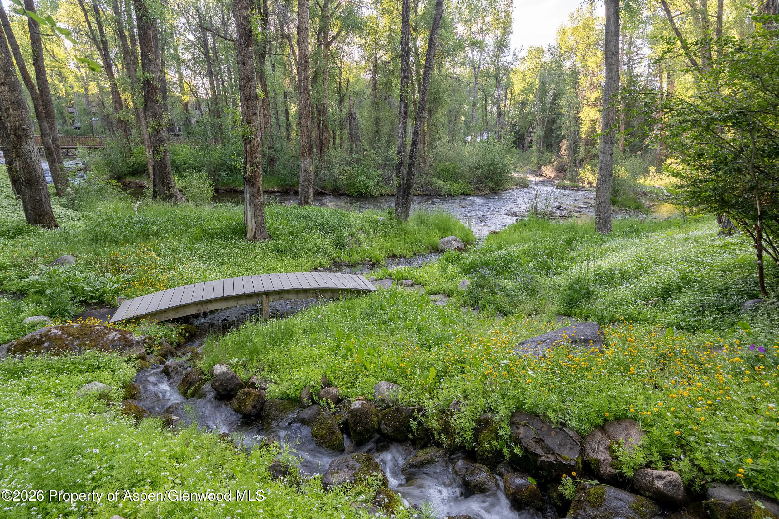 115 Neale Avenue, Aspen, CO 81611 - Photo 29