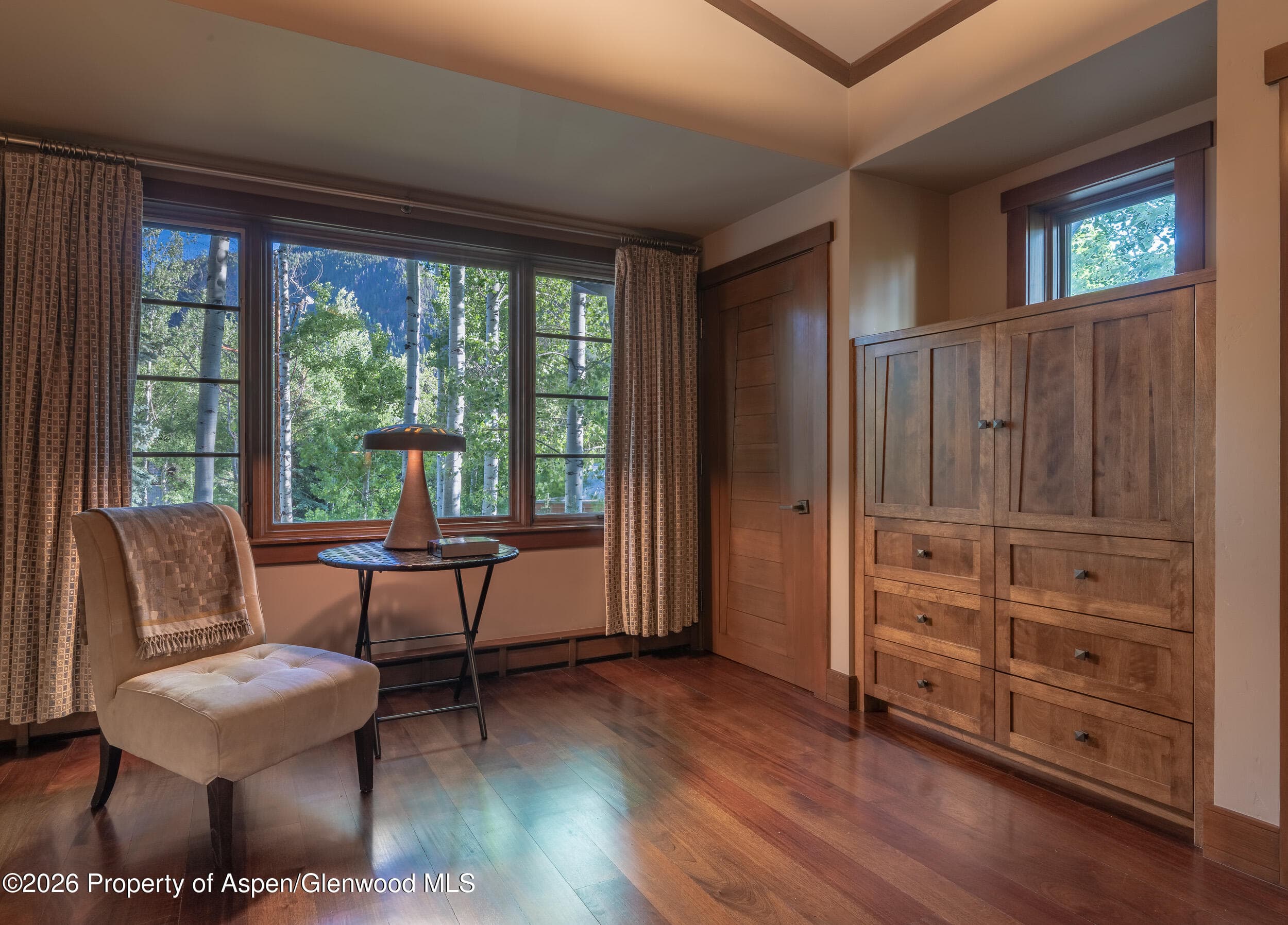115 Neale Avenue, Aspen, CO 81611 - Photo 15