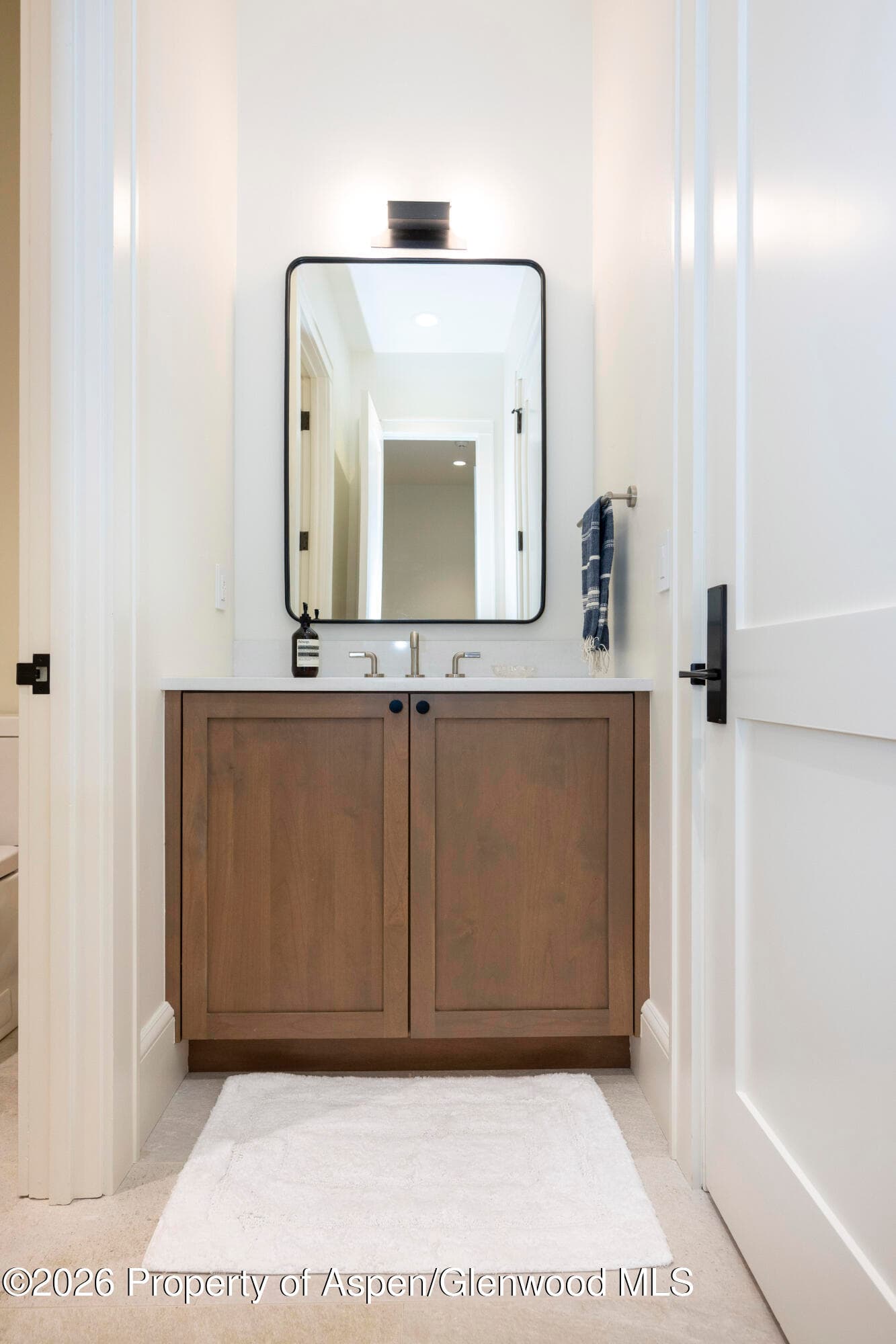 1263 Bunny Court Unit 1, Aspen, CO 81611 - Photo 23