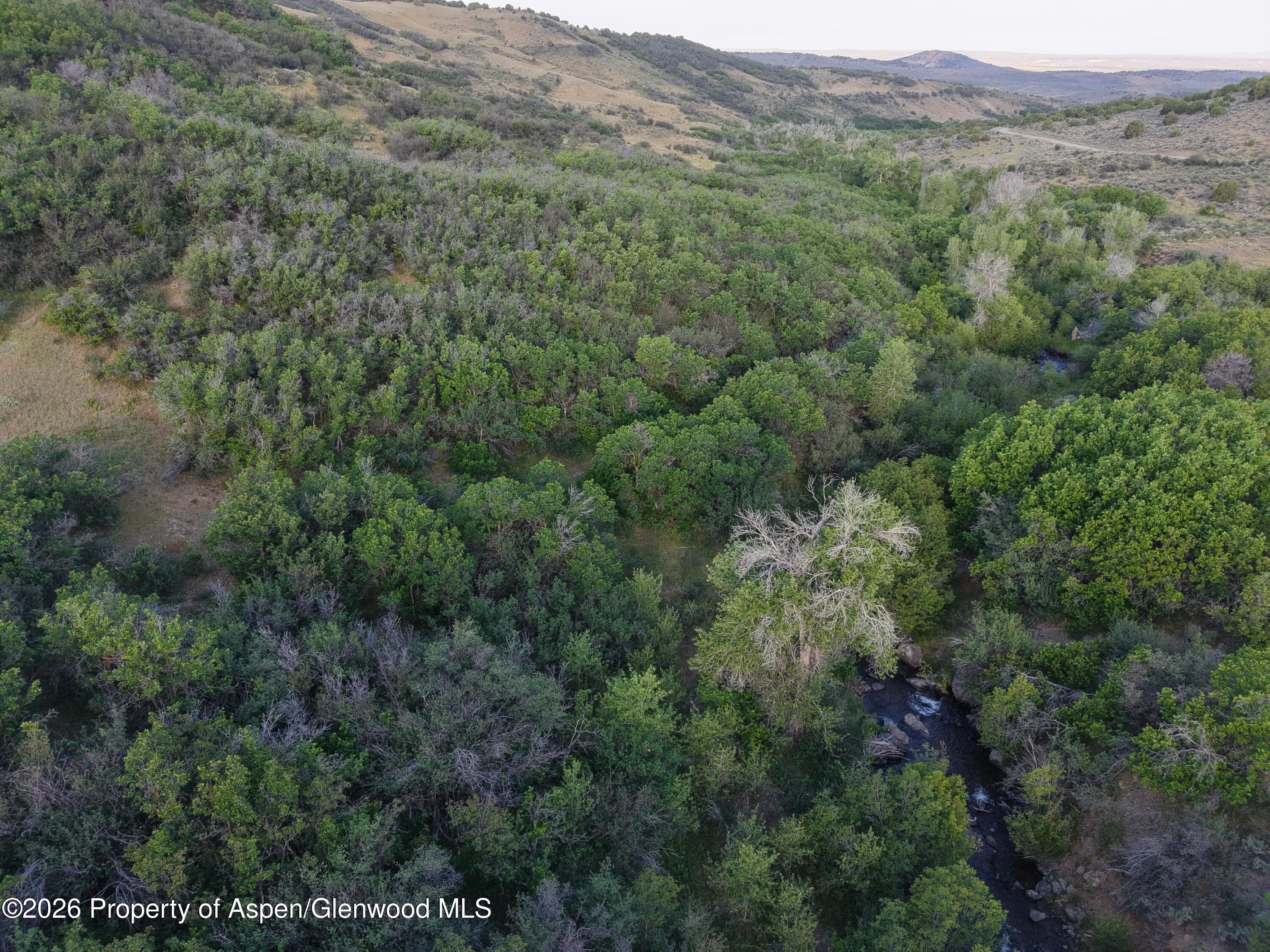 Tbd County Road 70, Craig, CO 81625 - Photo 12
