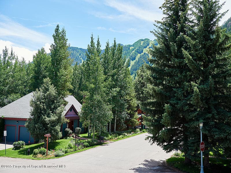Tbd W Francis Aka 500 W Francis Street, Aspen, CO 81611 - Photo 6