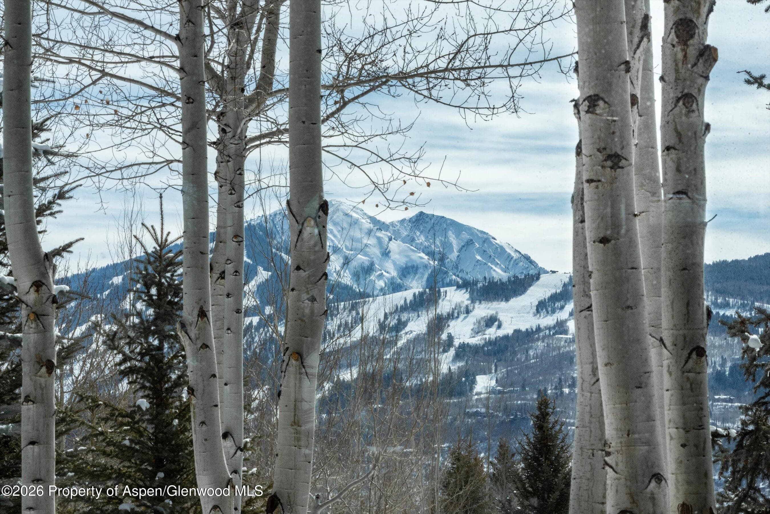 372 Sunnyside Lane, Aspen, CO 81611 - Photo 34