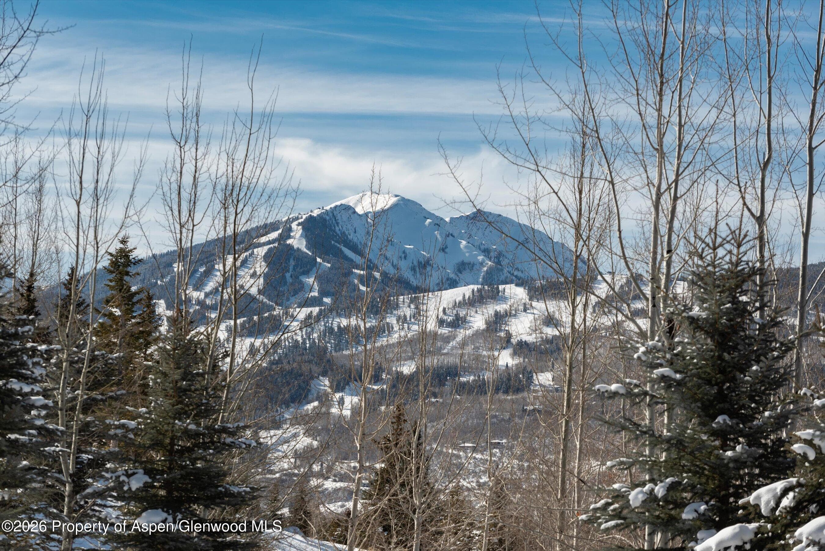 372 Sunnyside Lane, Aspen, CO 81611 - Photo 57