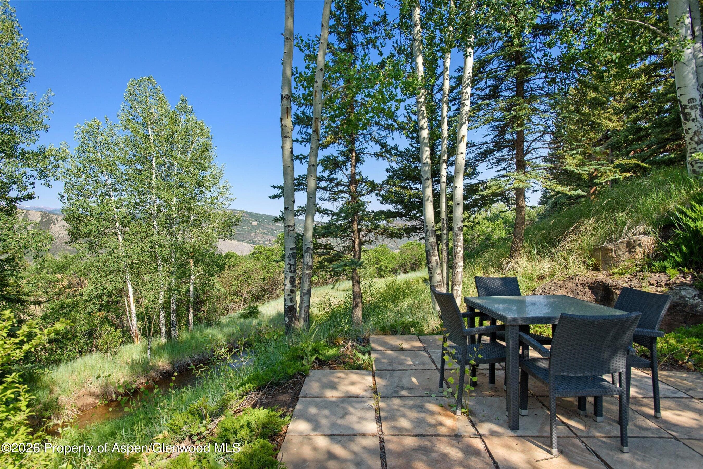 372 Sunnyside Lane, Aspen, CO 81611 - Photo 45