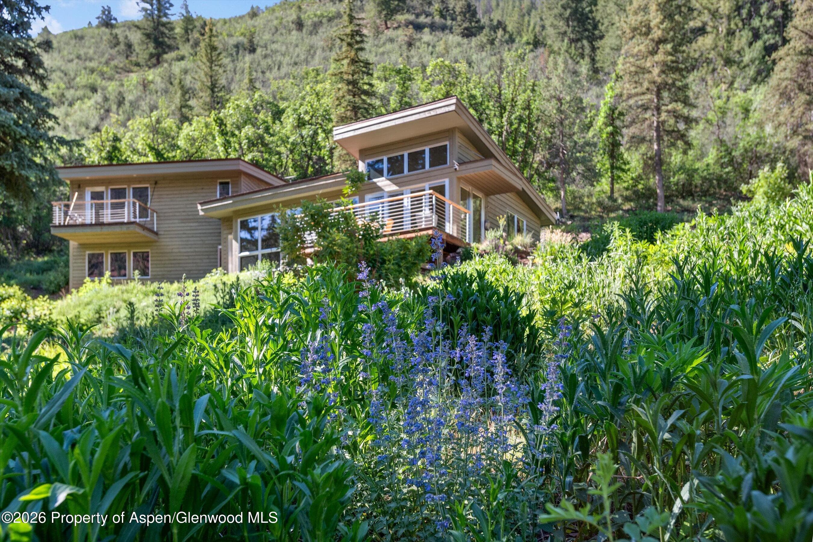 768 Kings Lake Road - Photo 4