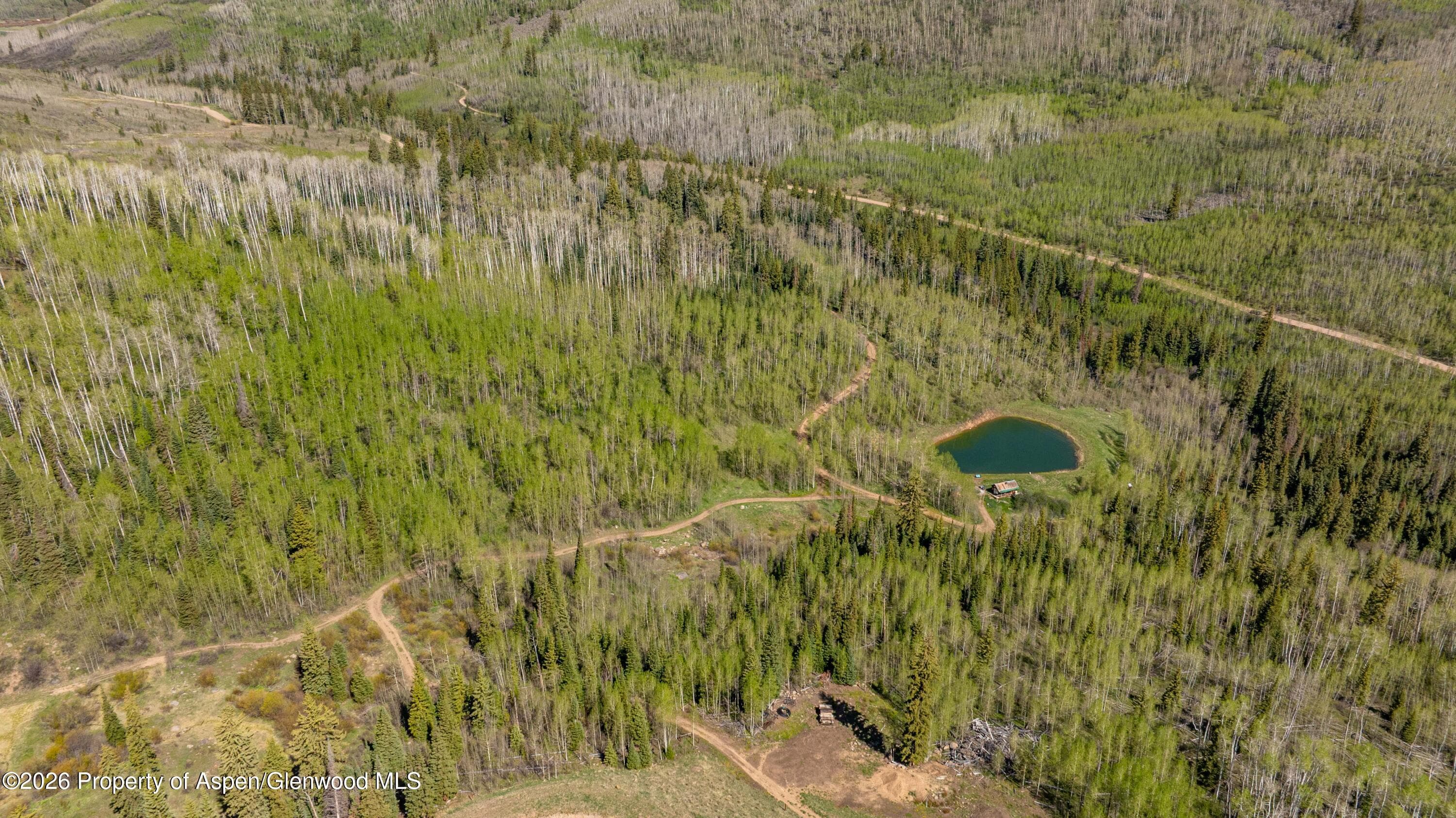 Tbd Forest Service Road 300 Pond, Glenwood Springs, CO 81601 - Photo 7