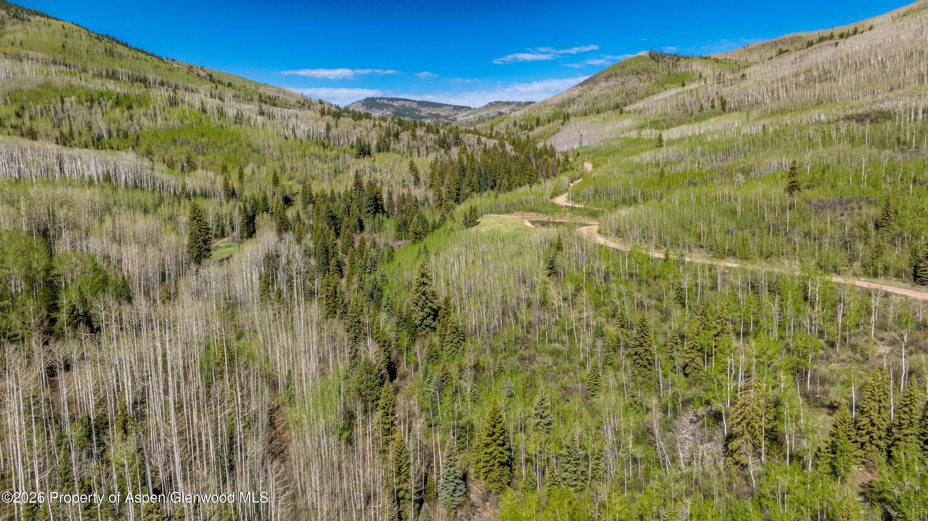 Tbd Forest Service Road 300 Pond, Glenwood Springs, CO 81601 - Photo 4
