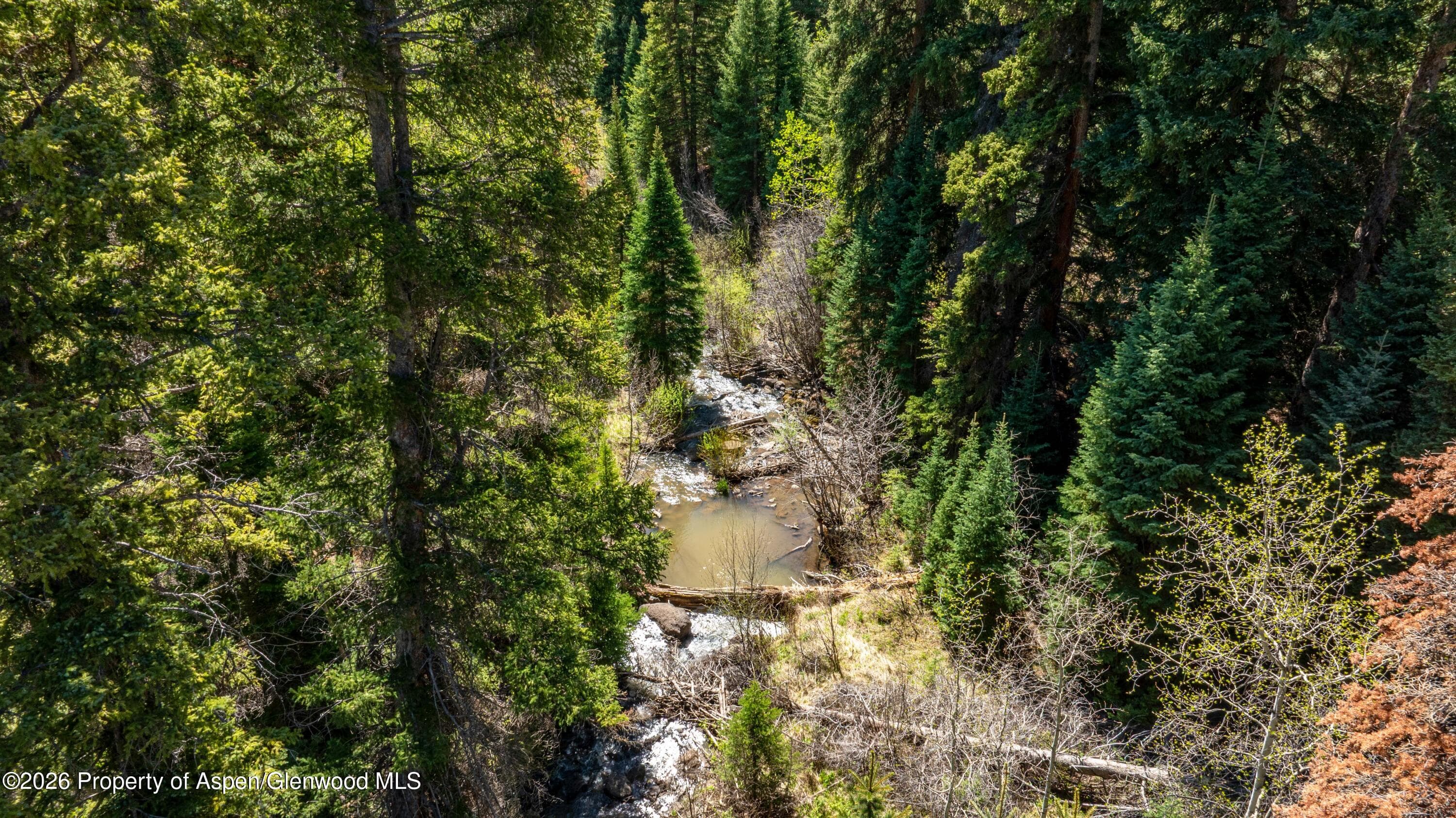 Tbd Forest Service Road 300 Pond, Glenwood Springs, CO 81601 - Photo 5
