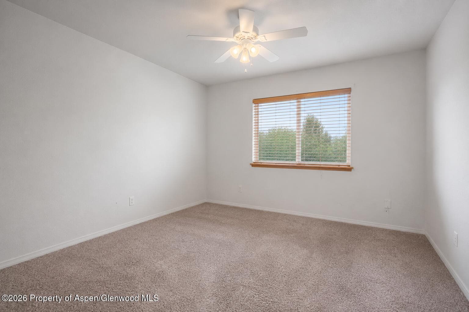 456 Black Bear Trail, Carbondale, CO 81623 - Photo 14
