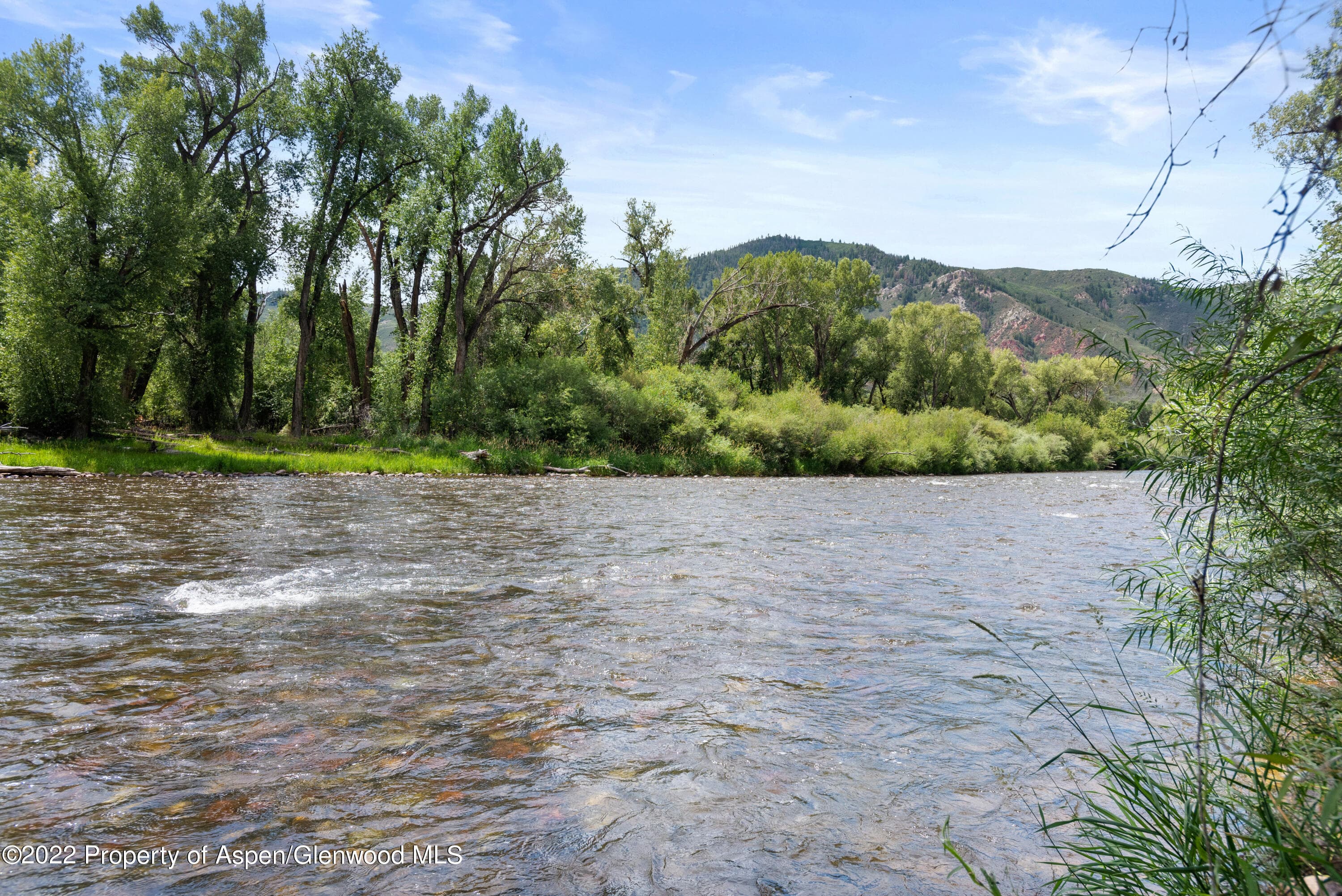 180 River Oaks Lane, Basalt, CO 81621 - Photo 5