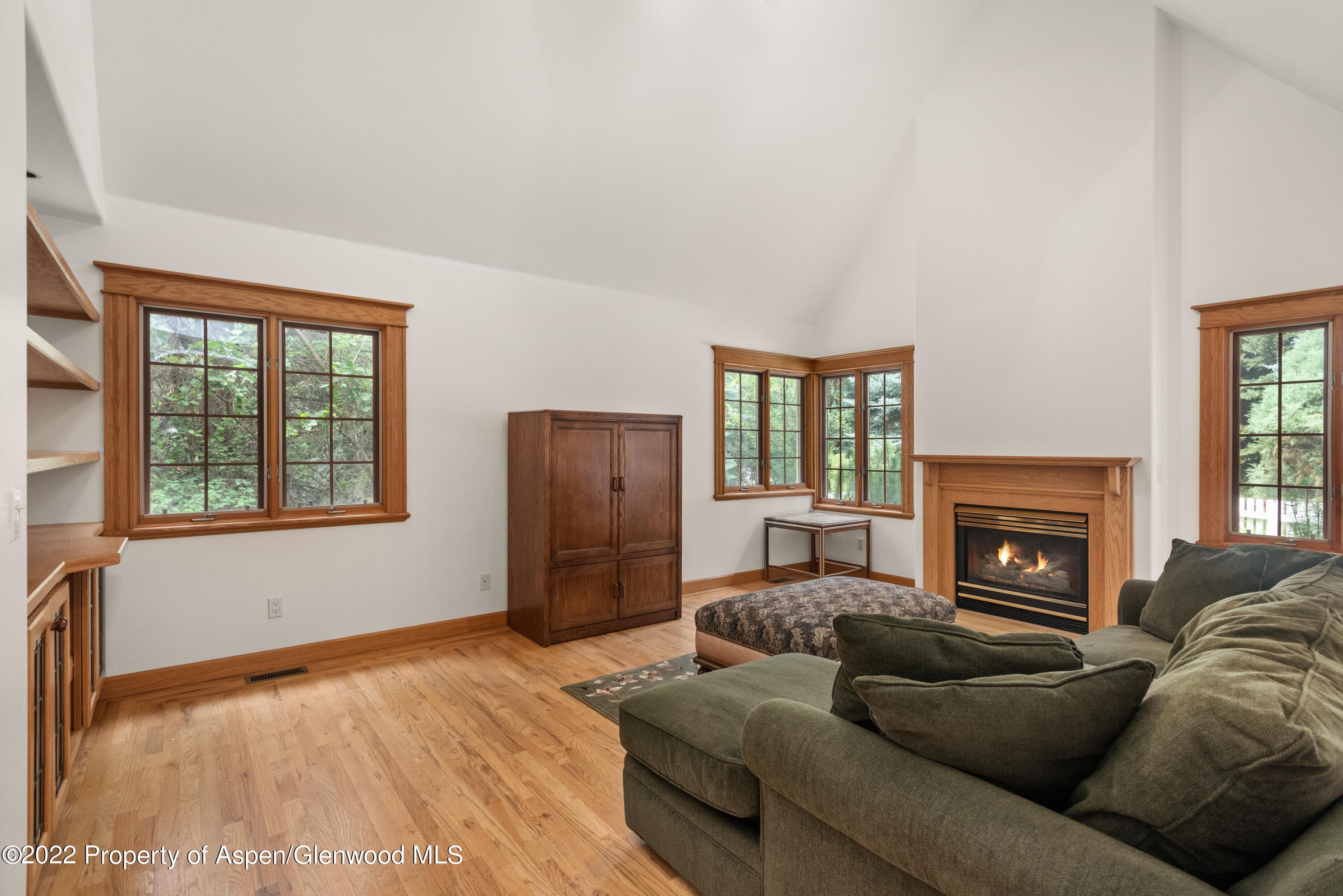 180 River Oaks Lane, Basalt, CO 81621 - Photo 7