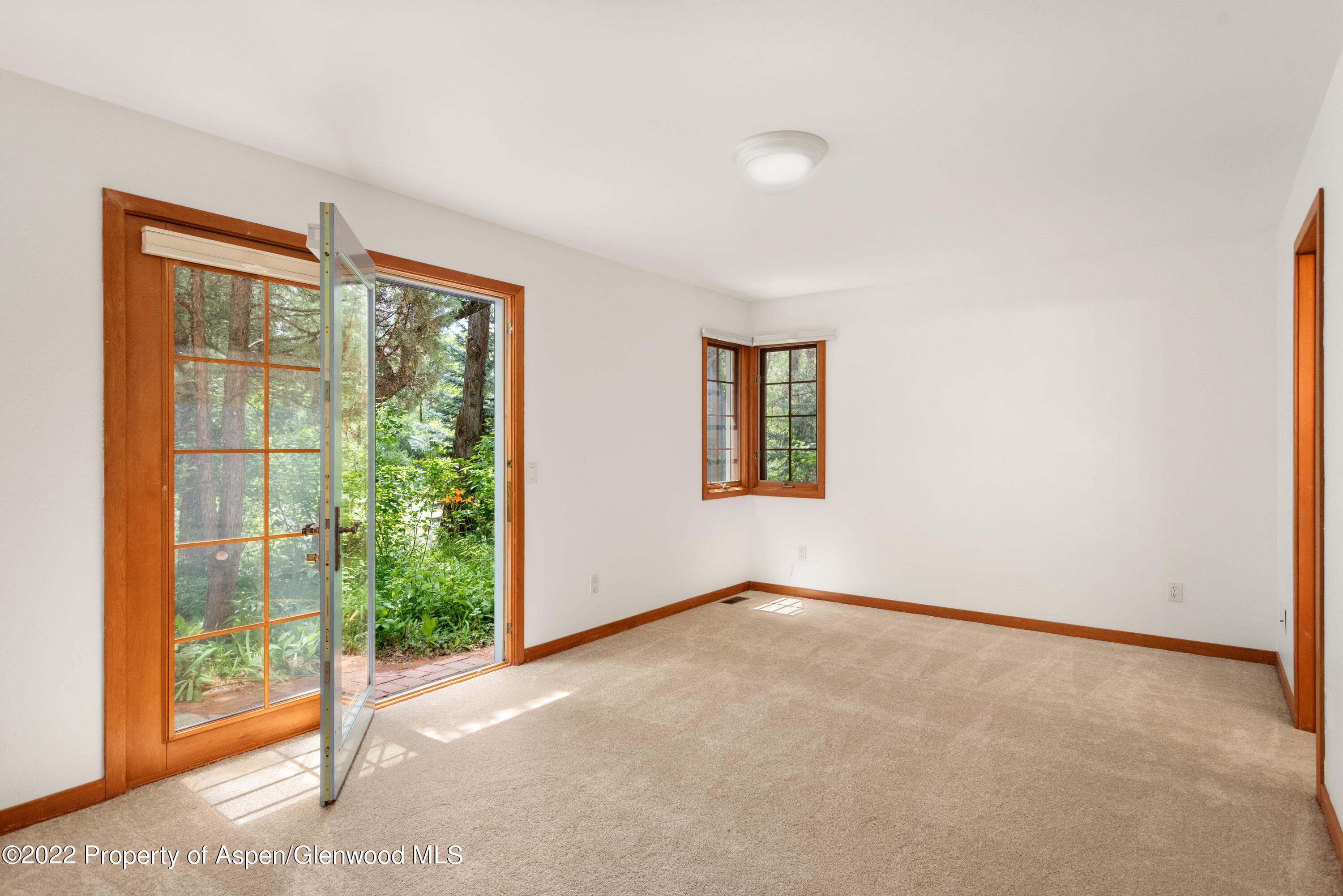 180 River Oaks Lane, Basalt, CO 81621 - Photo 17