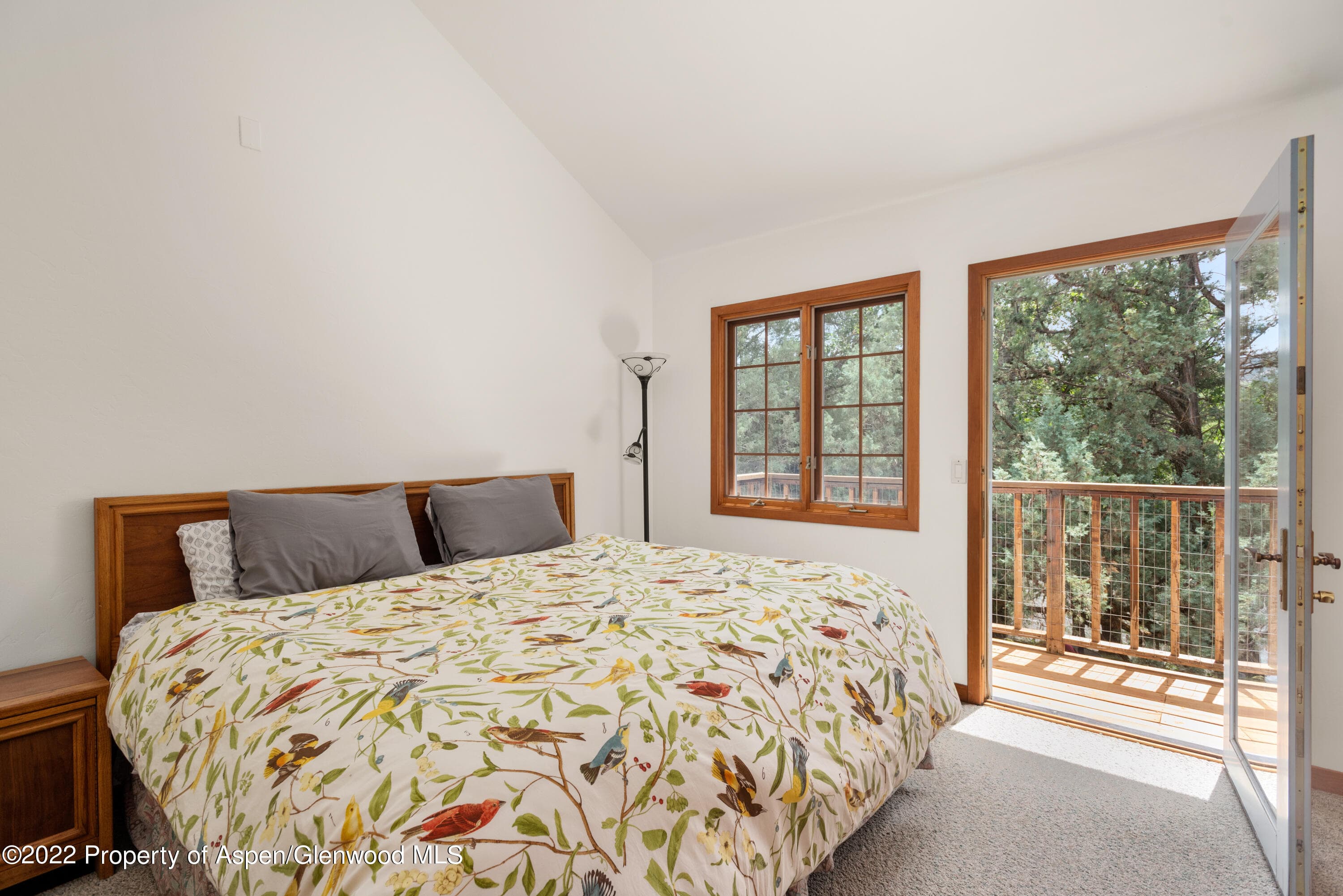 180 River Oaks Lane, Basalt, CO 81621 - Photo 20