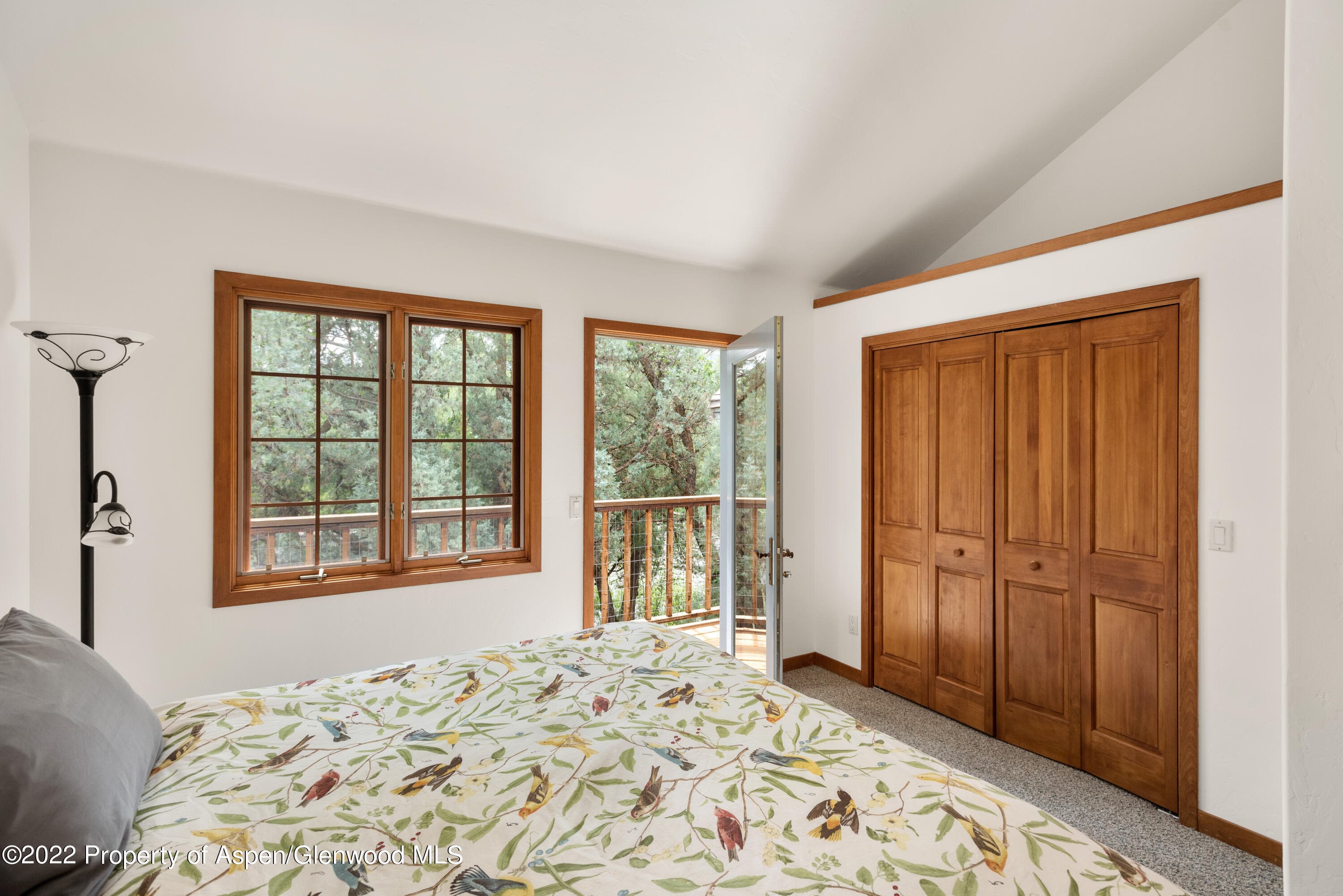 180 River Oaks Lane, Basalt, CO 81621 - Photo 21