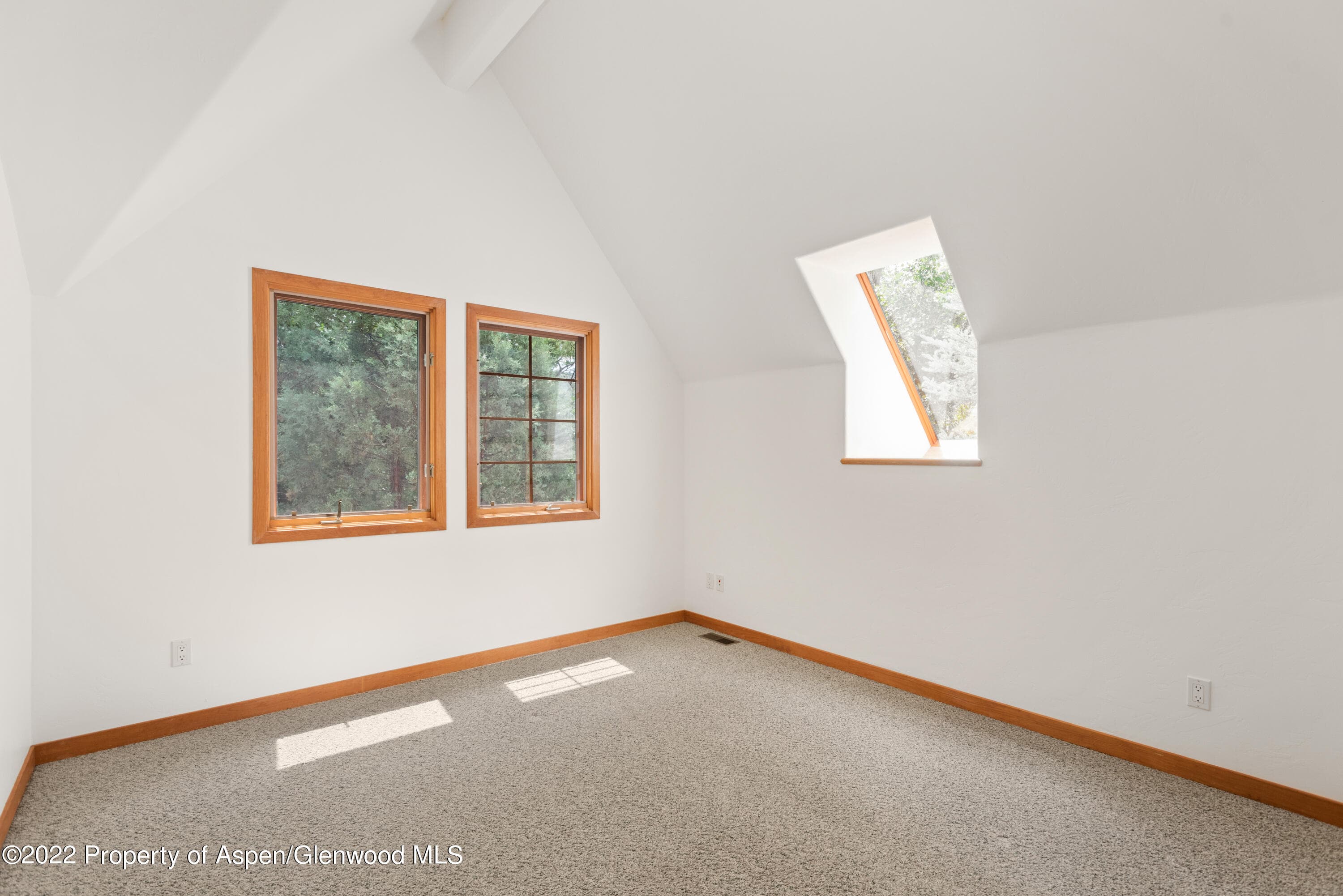 180 River Oaks Lane, Basalt, CO 81621 - Photo 23