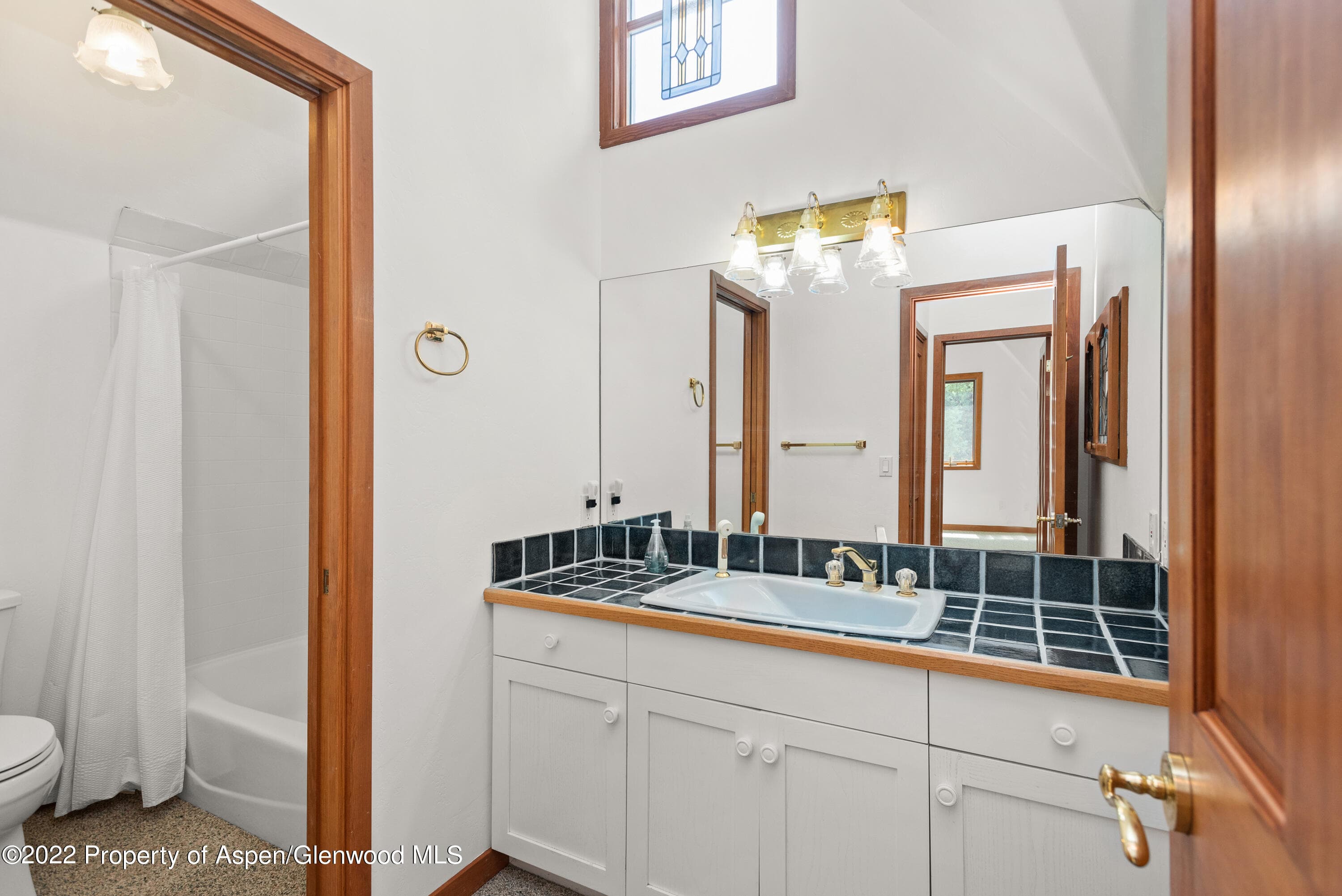 180 River Oaks Lane, Basalt, CO 81621 - Photo 25