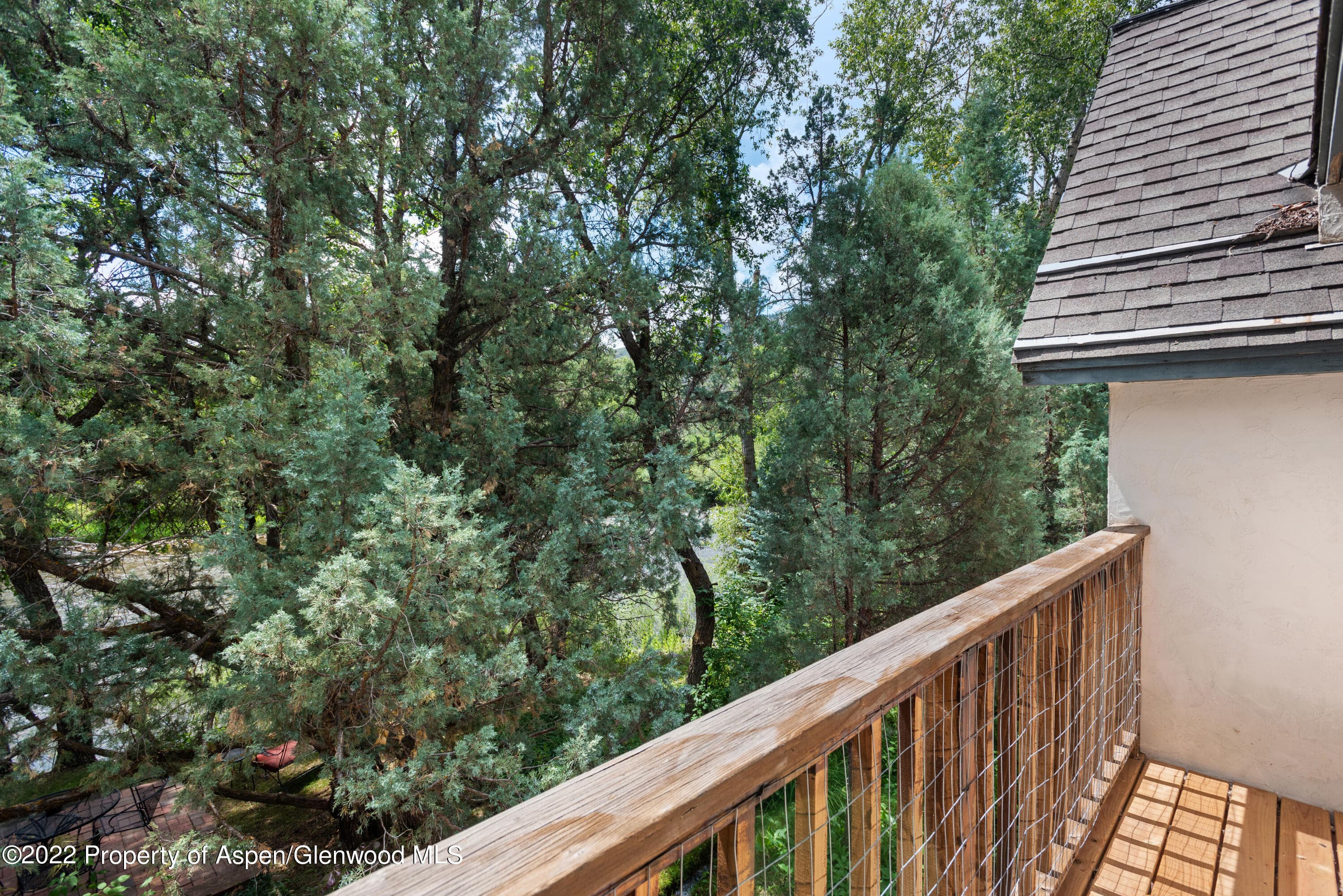 180 River Oaks Lane, Basalt, CO 81621 - Photo 28