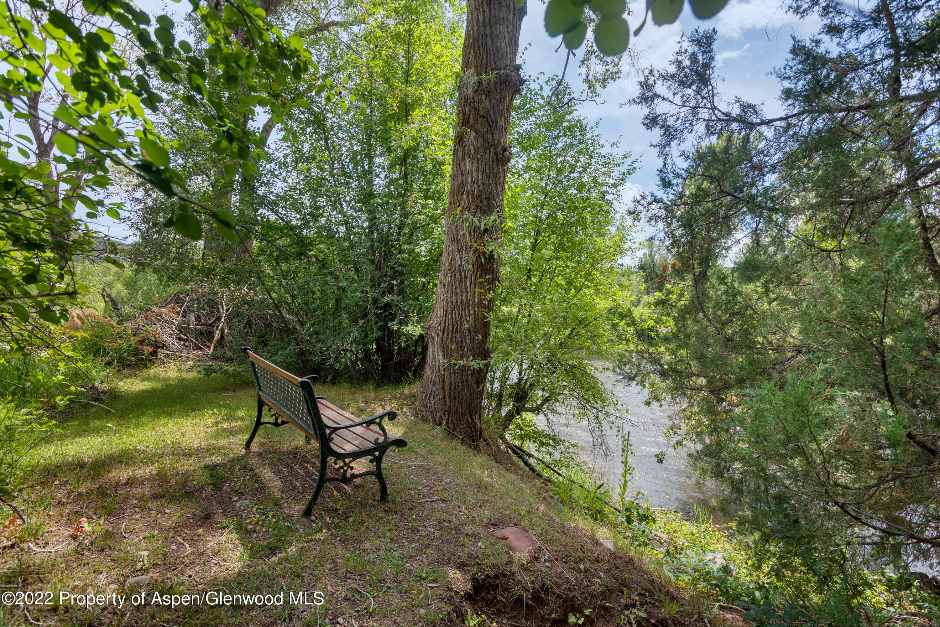 180 River Oaks Lane, Basalt, CO 81621 - Photo 35