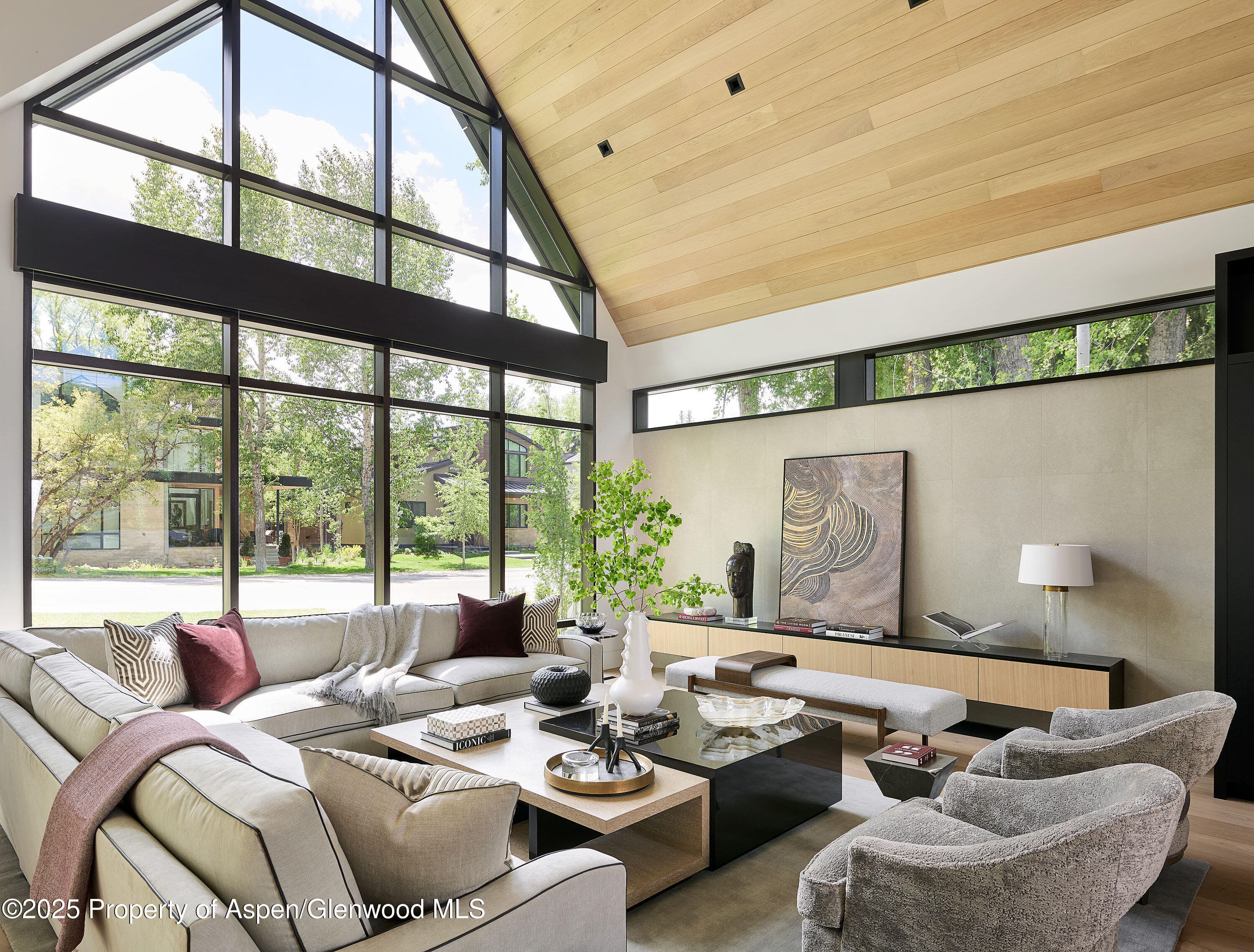810 W Smuggler Street, Aspen, CO 81611 - Photo 4