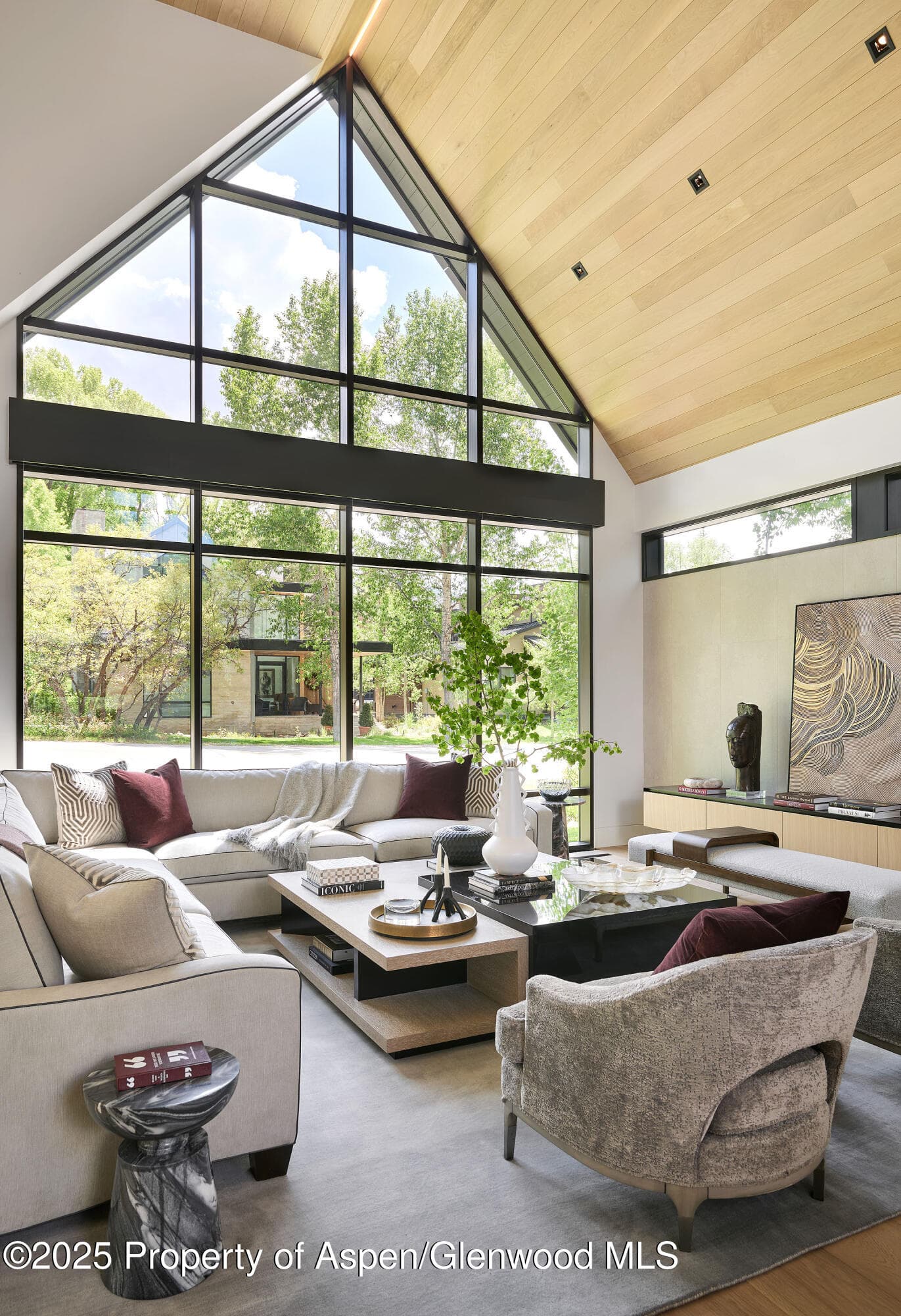 810 W Smuggler Street, Aspen, CO 81611 - Photo 5