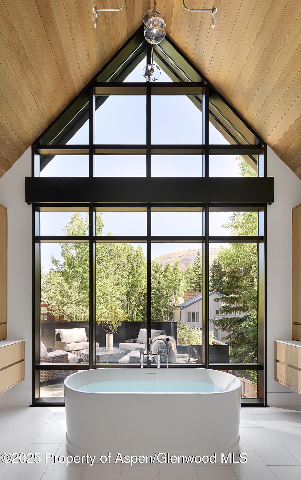 810 W Smuggler Street, Aspen, CO 81611 - Photo 24