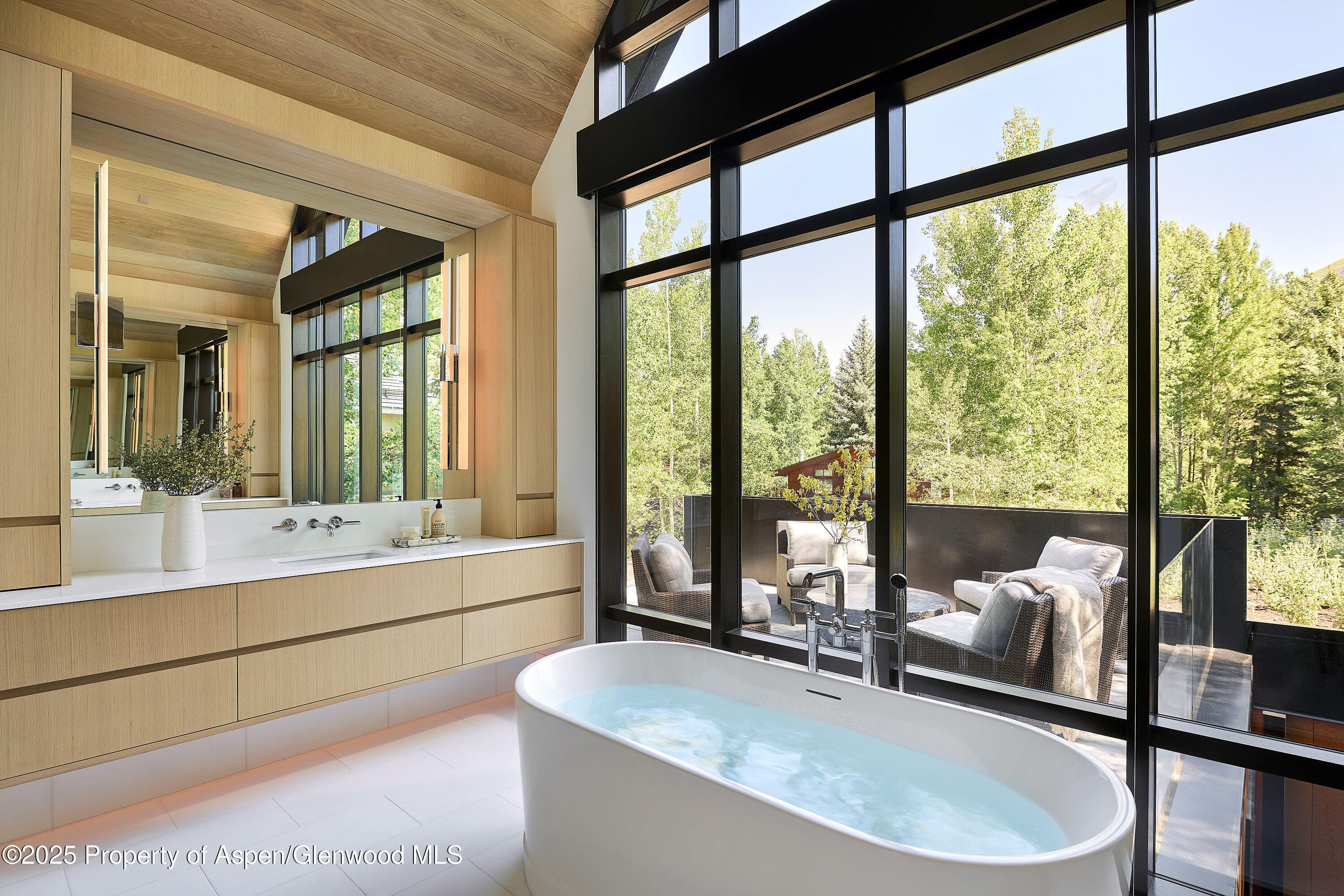 810 W Smuggler Street, Aspen, CO 81611 - Photo 25