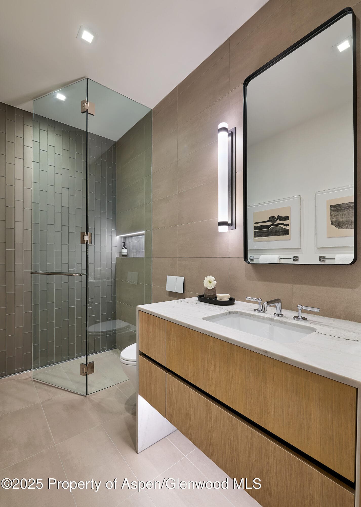 810 W Smuggler Street, Aspen, CO 81611 - Photo 44