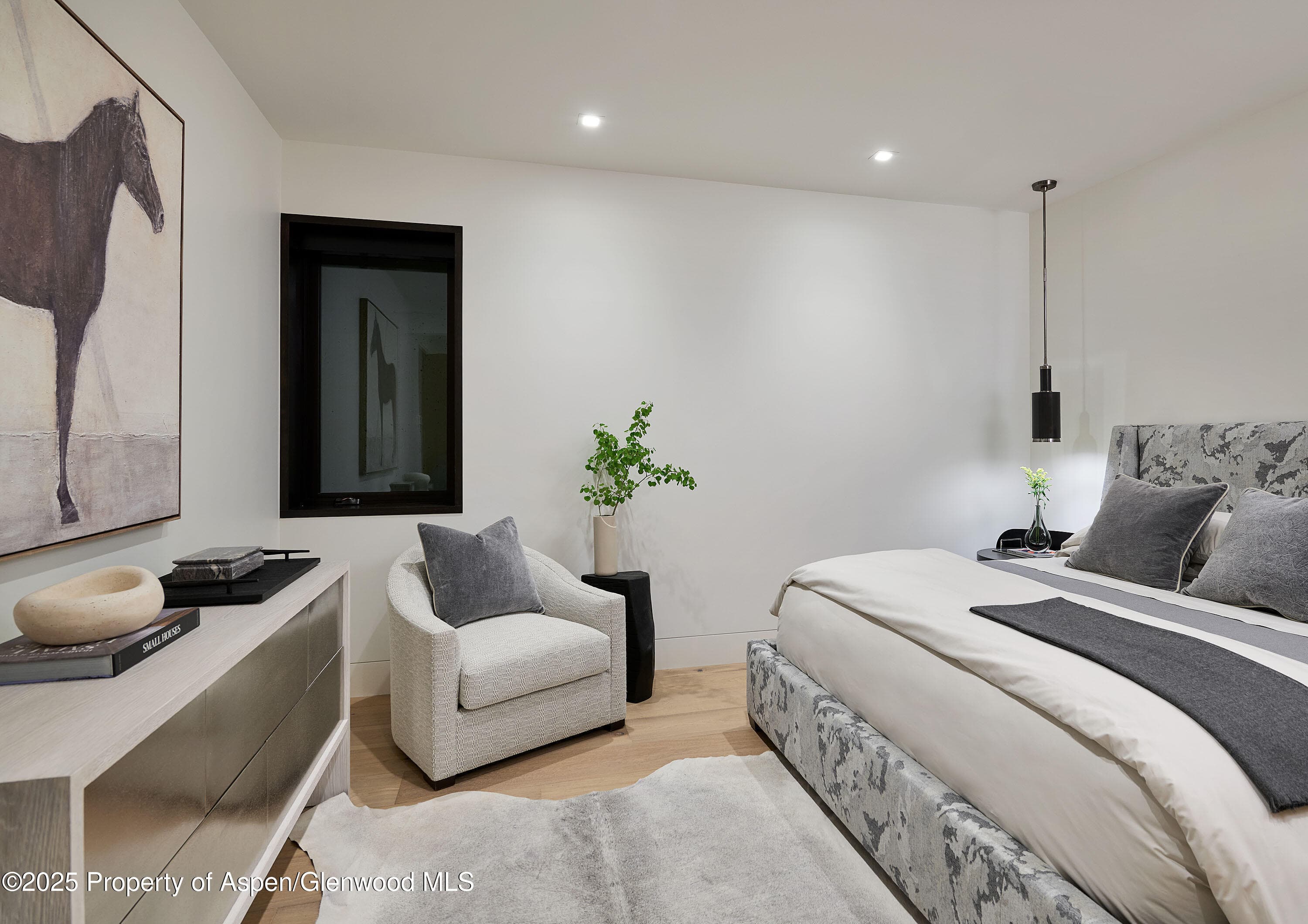 810 W Smuggler Street, Aspen, CO 81611 - Photo 45