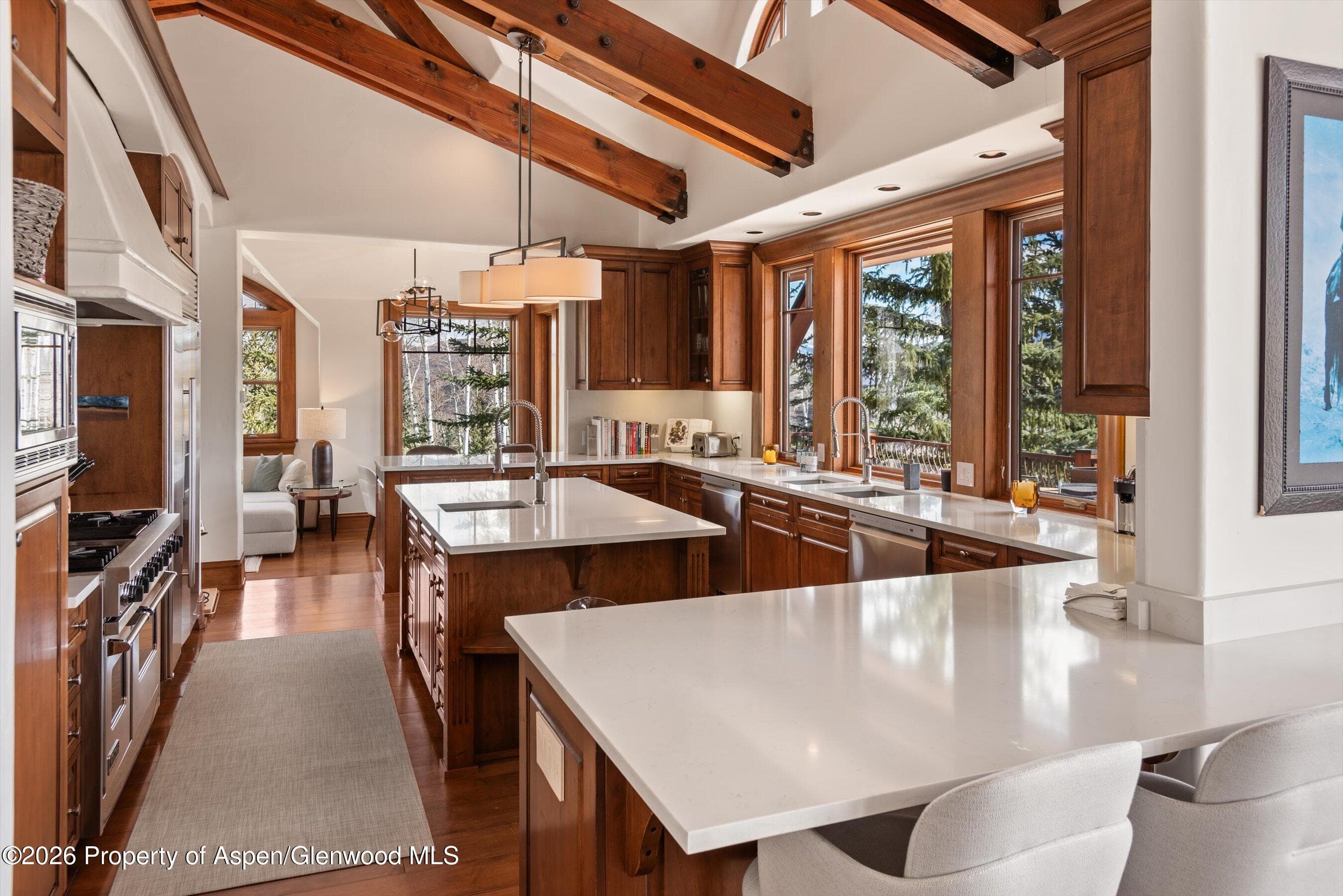 1000 Two Creeks Drive, Snowmass Village, CO 81615 - Photo 18