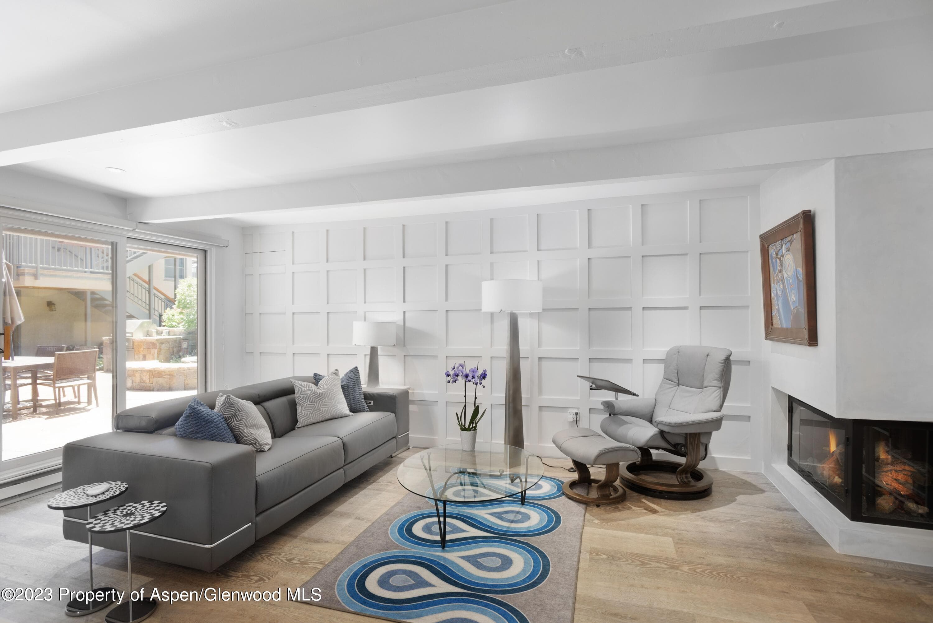 630 E Cooper Avenue 2, Aspen, CO 81611
