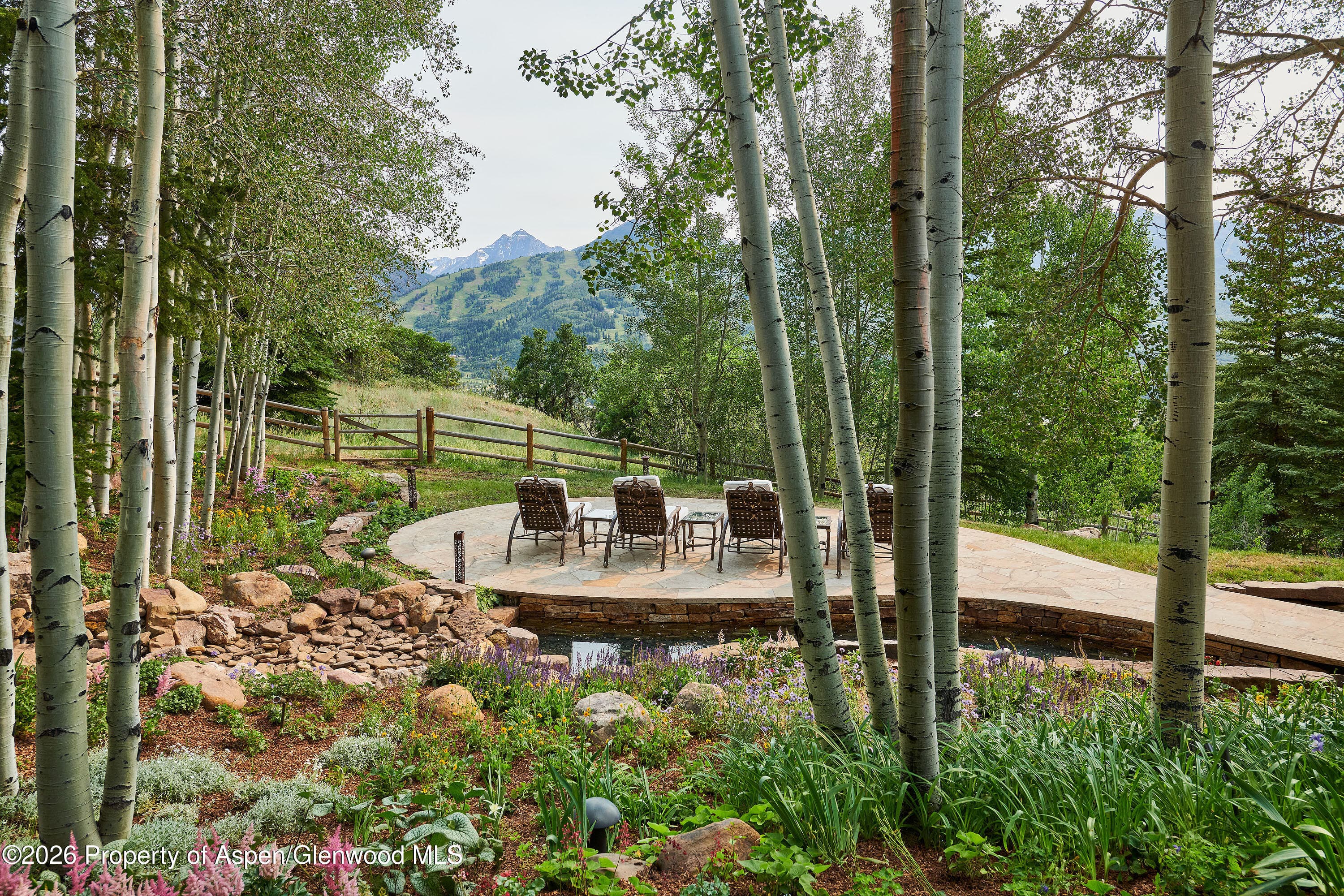 498 Eppley Drive, Aspen, CO 81611 - Photo 23