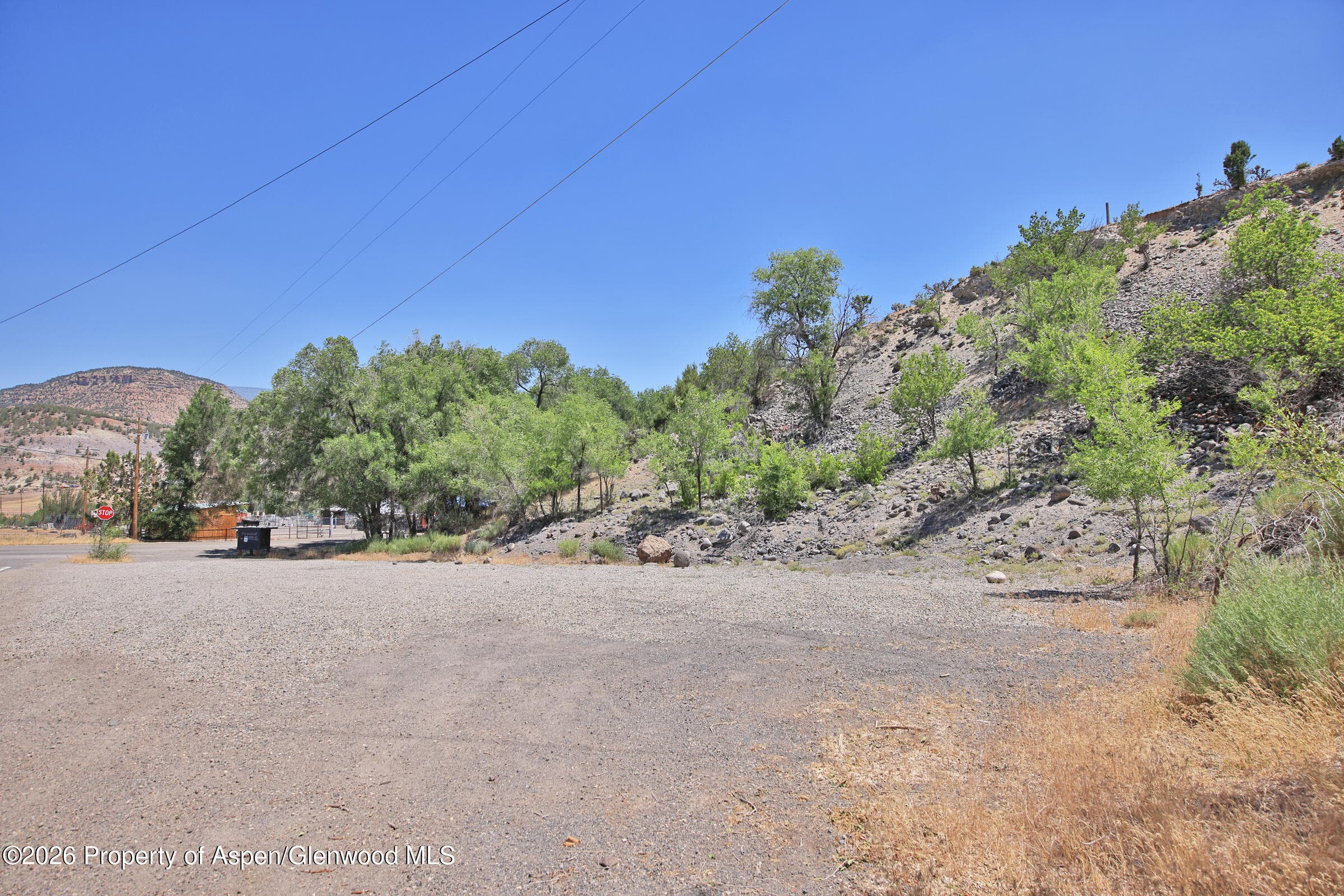 Tbd 57 1/2 Road, Collbran, CO 81624