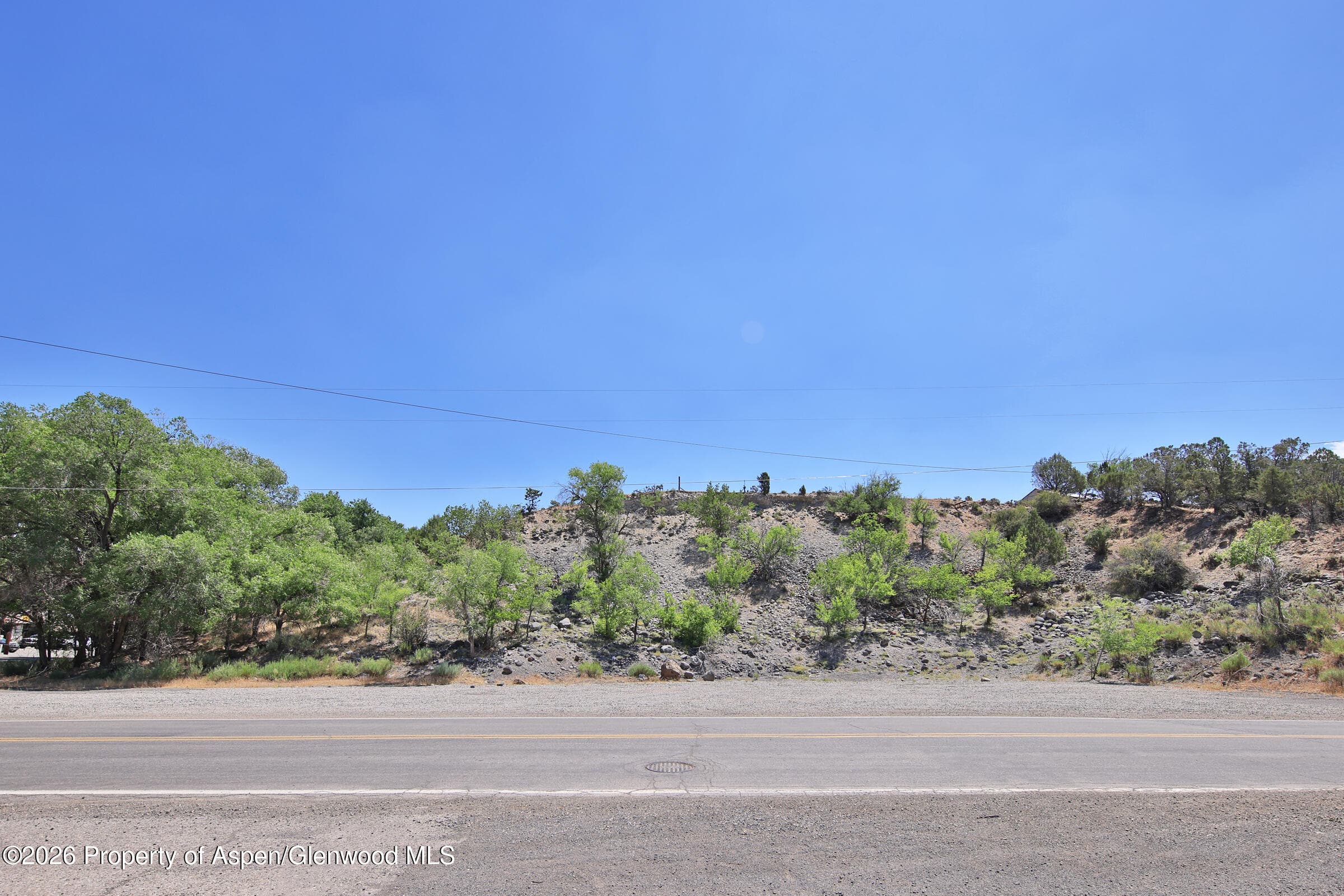 Tbd 57 1/2 Road, Collbran, CO 81624 - Photo 6