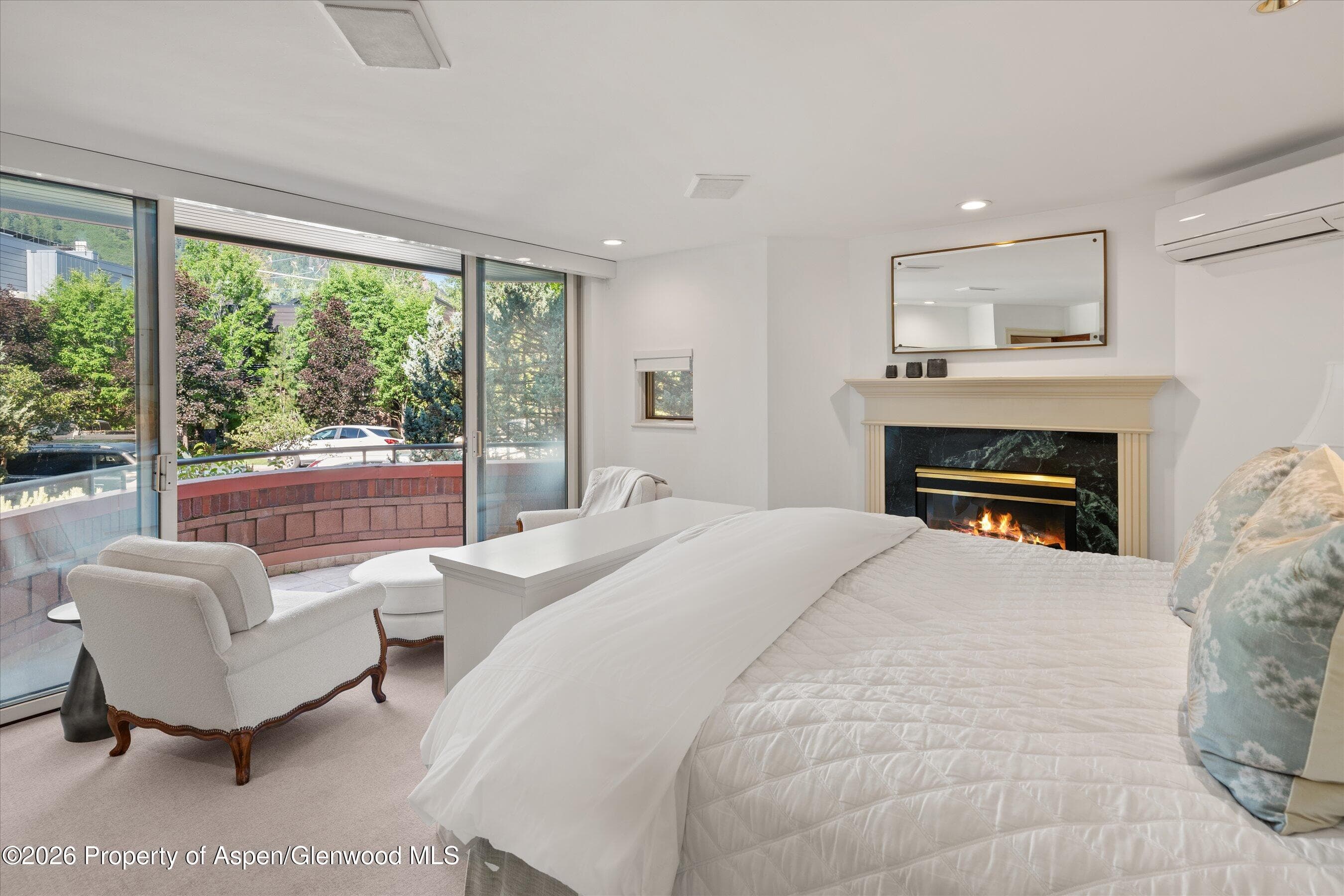 208 S Spring Street #1, Aspen, CO 81611 - Photo 14
