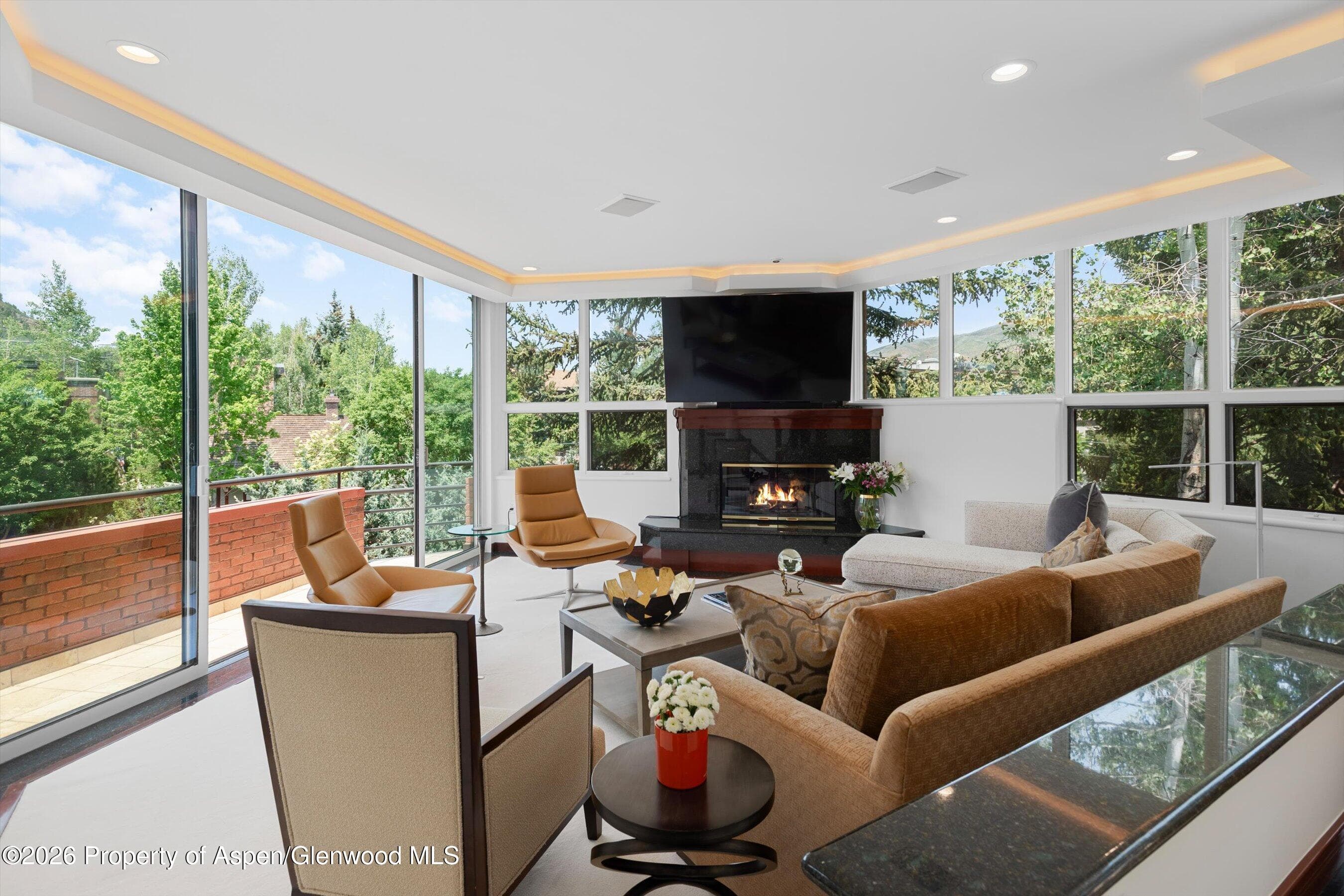 208 S Spring Street #1, Aspen, CO 81611 - Photo 2
