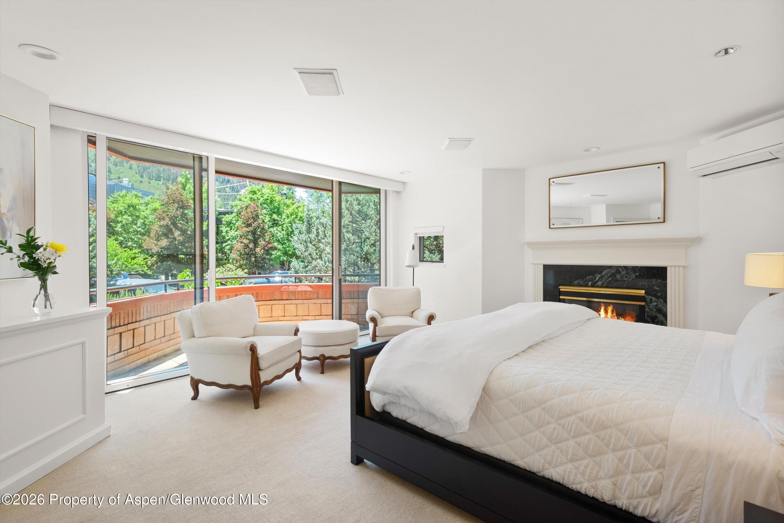 208 S Spring Street #1, Aspen, CO 81611 - Photo 18