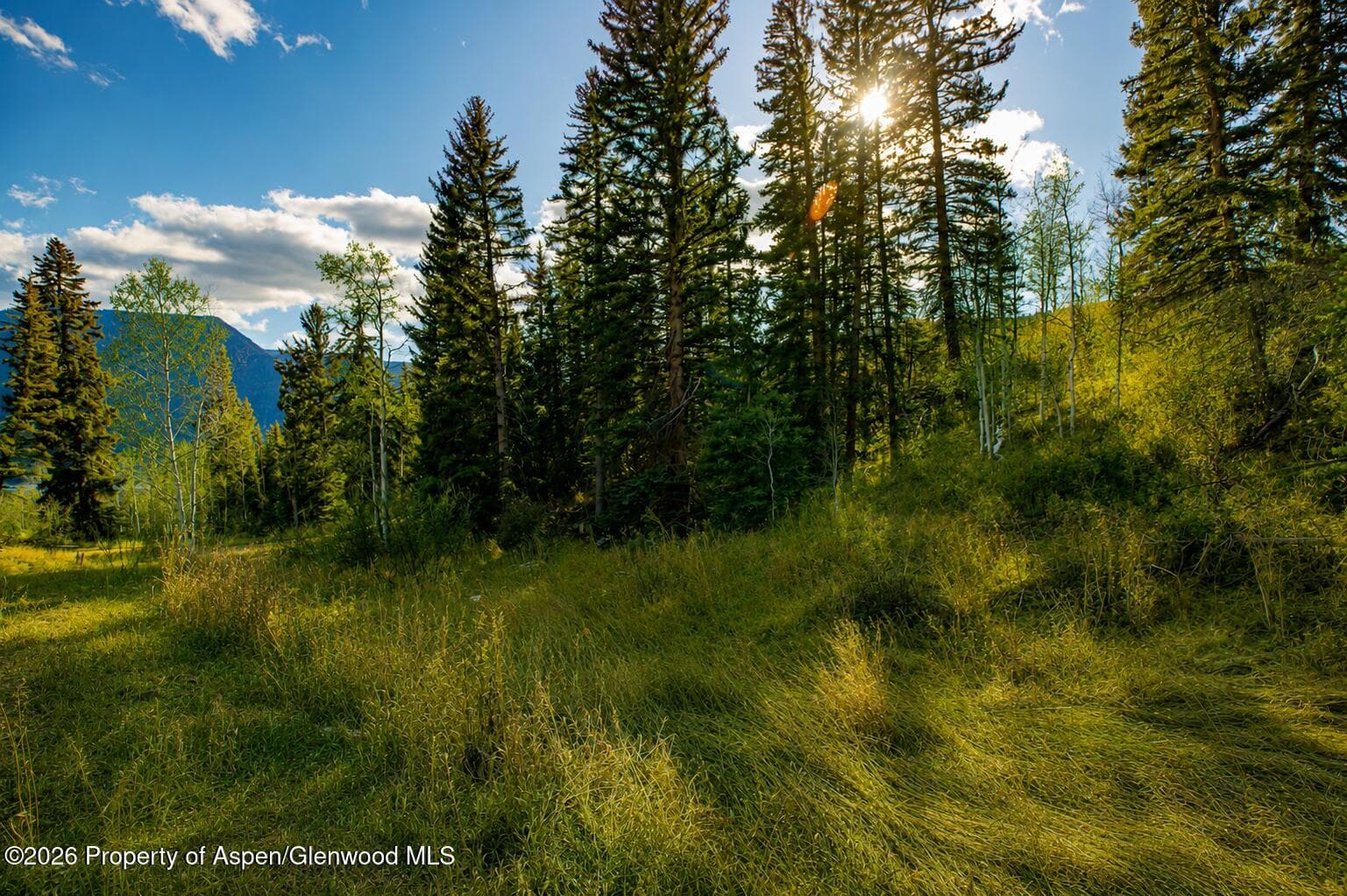 123 Wapiti Way, Basalt, CO 81621 - Photo 2