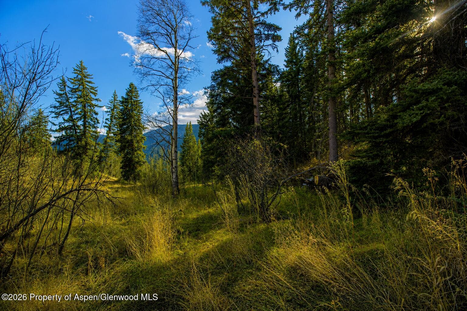 123 Wapiti Way, Basalt, CO 81621 - Photo 3