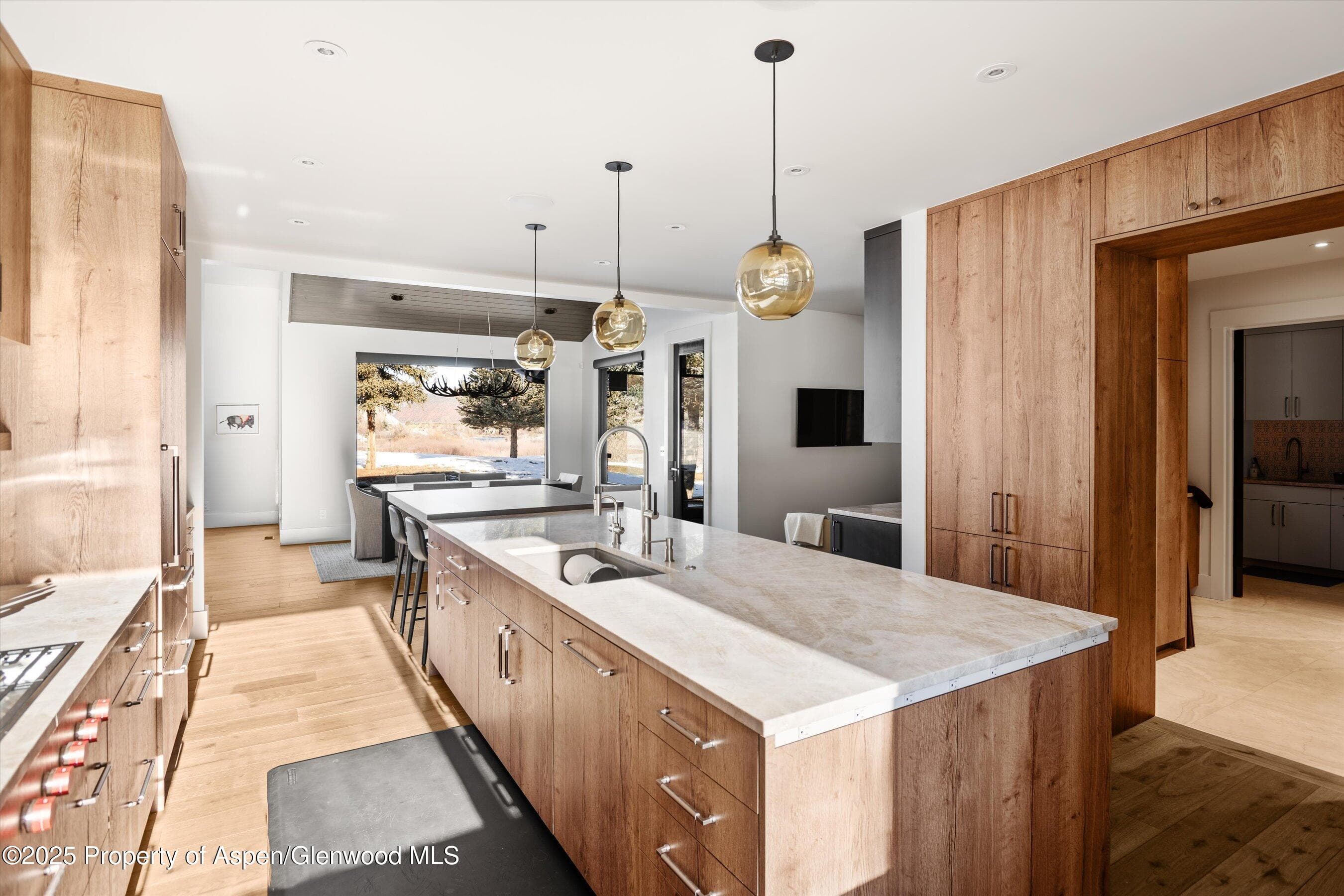 139 River Glen Road, Carbondale, CO 81623 - Photo 8
