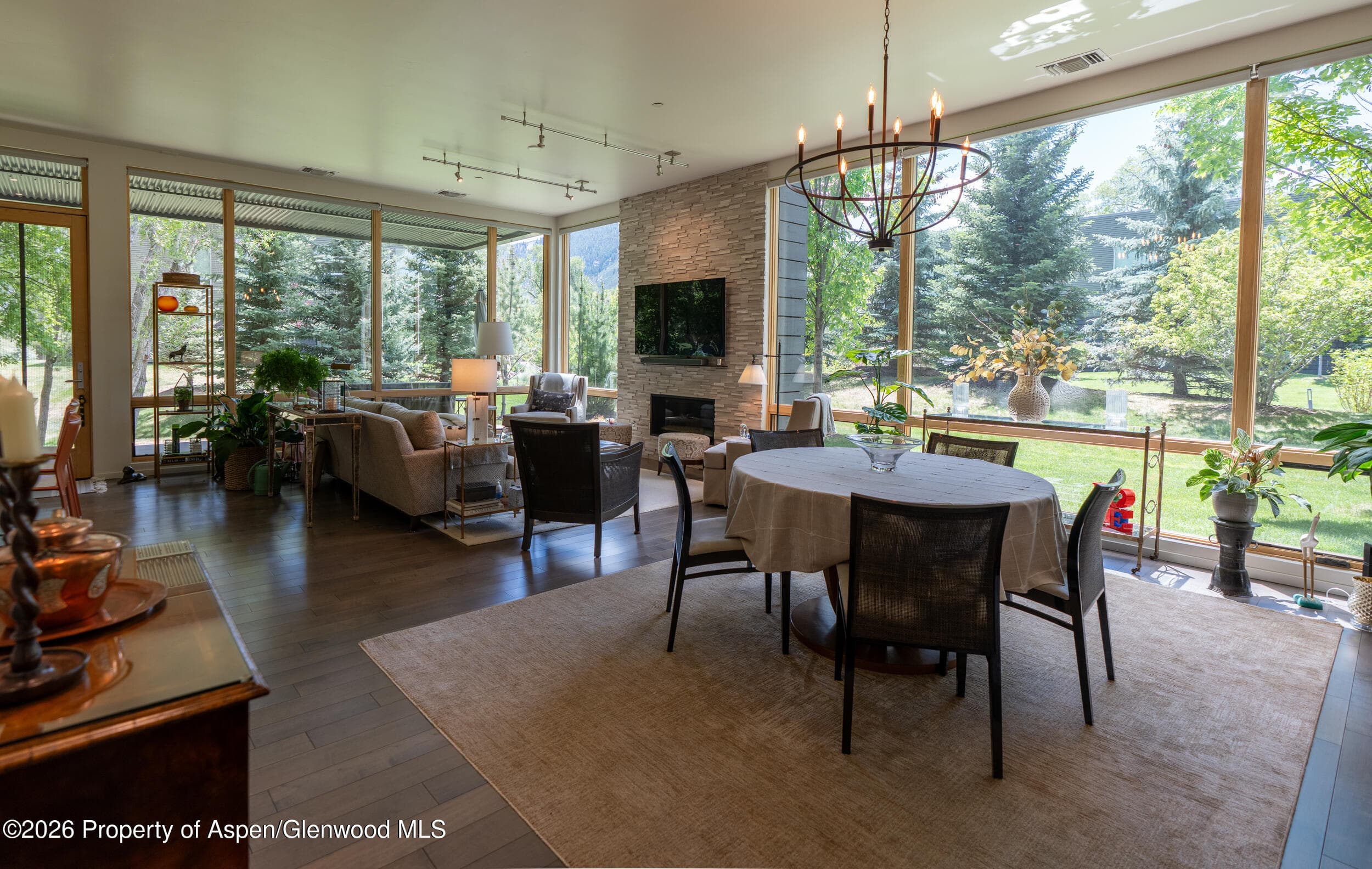102 Evans Road 101, Basalt, CO 81621 - Photo 2
