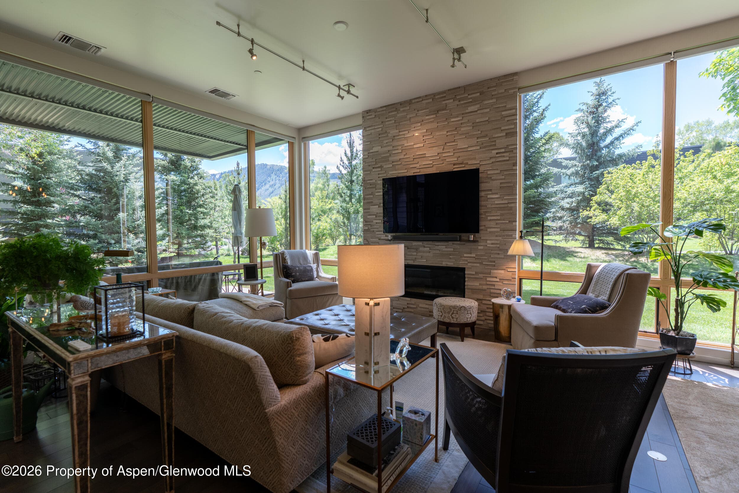 102 Evans Road 101, Basalt, CO 81621 - Photo 3
