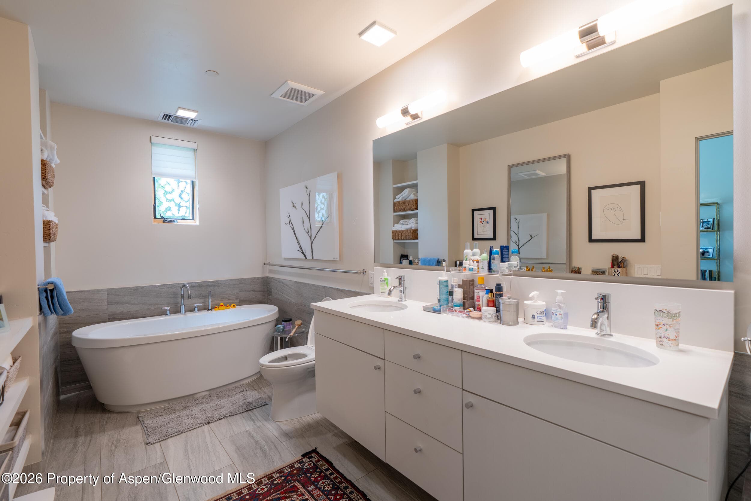 102 Evans Road 101, Basalt, CO 81621 - Photo 8