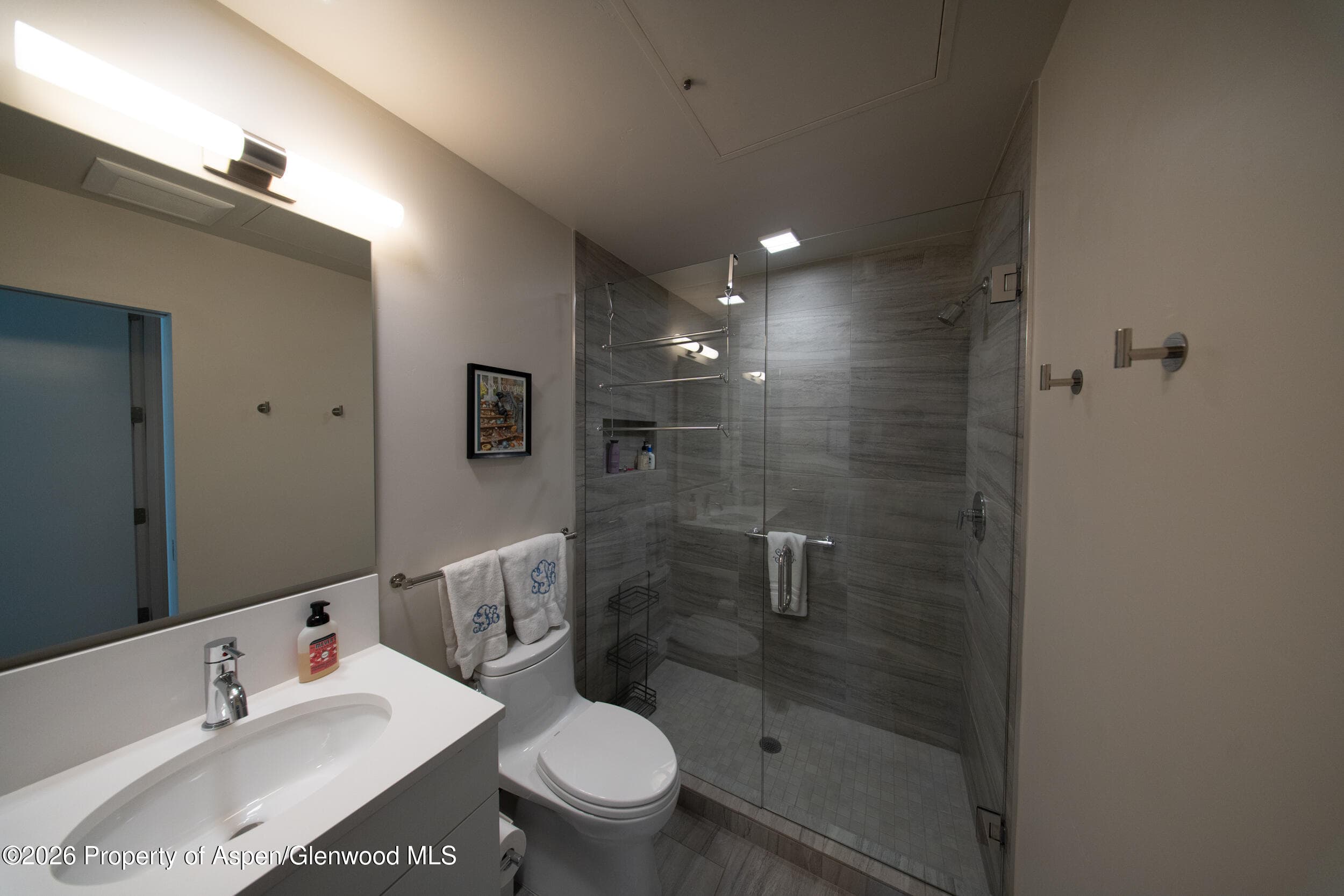 102 Evans Road 101, Basalt, CO 81621 - Photo 10