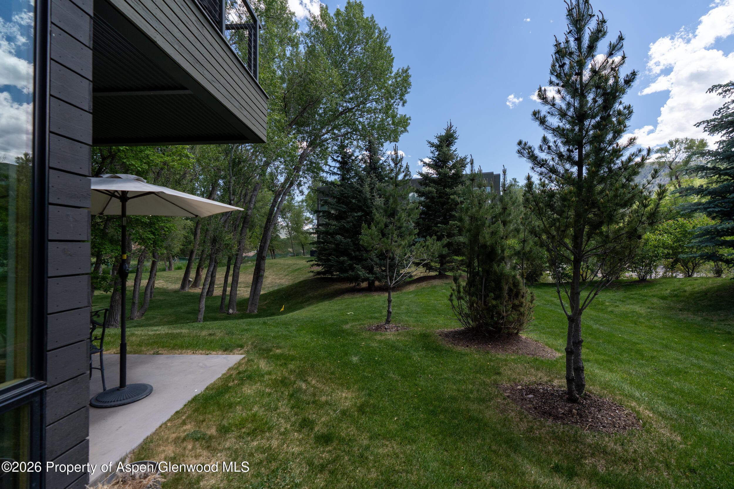 102 Evans Road 101, Basalt, CO 81621 - Photo 15
