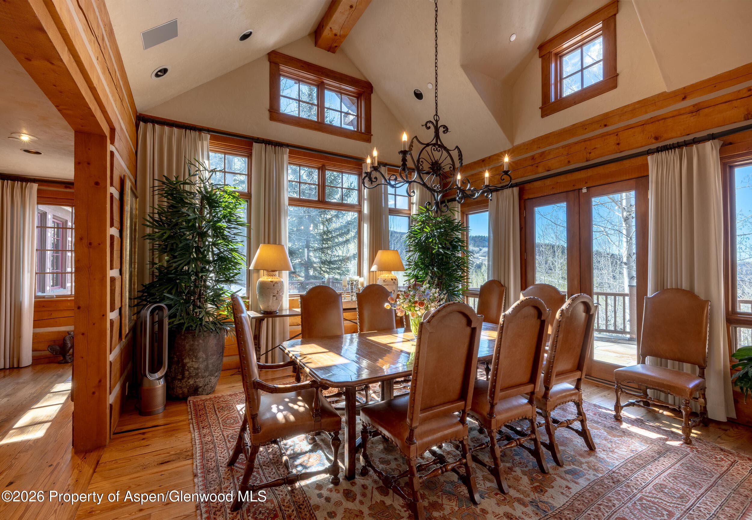 56 Five Trees Lane, Aspen, CO 81611 - Photo 12