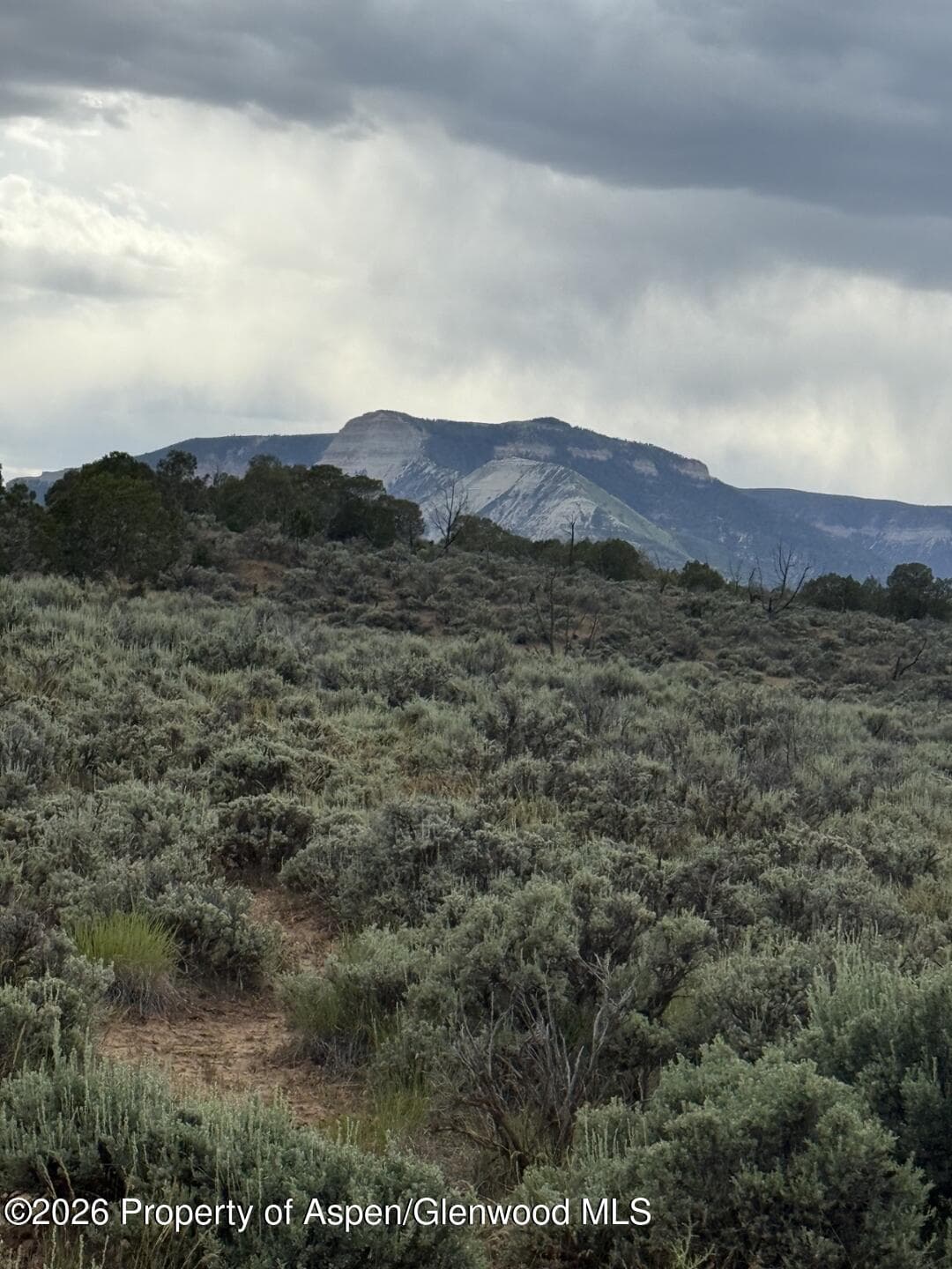 Tbd County Road 310, Parachute, CO 81635 - Photo 6