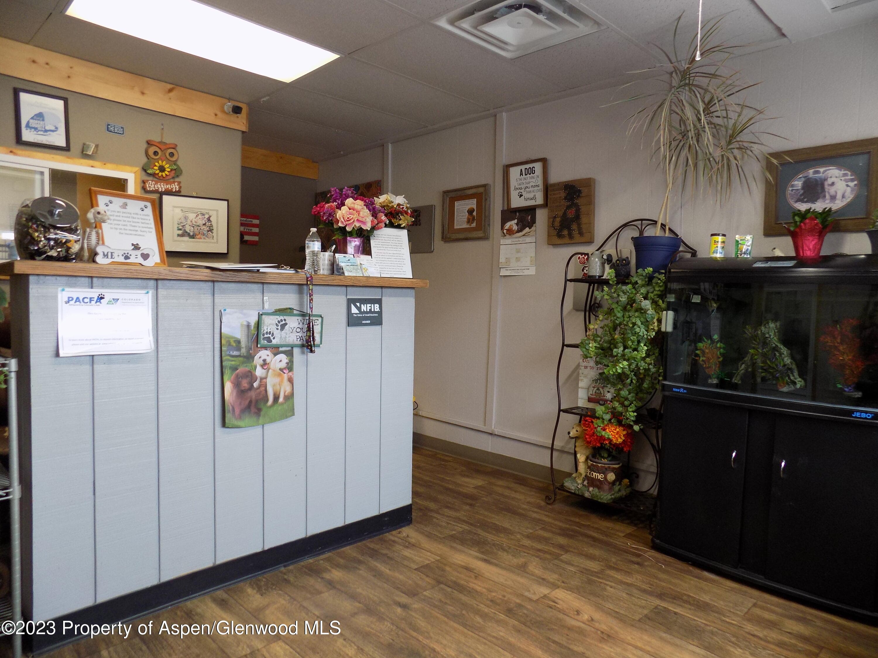 25 W Victory Way, Craig, CO 81625 - Photo 6