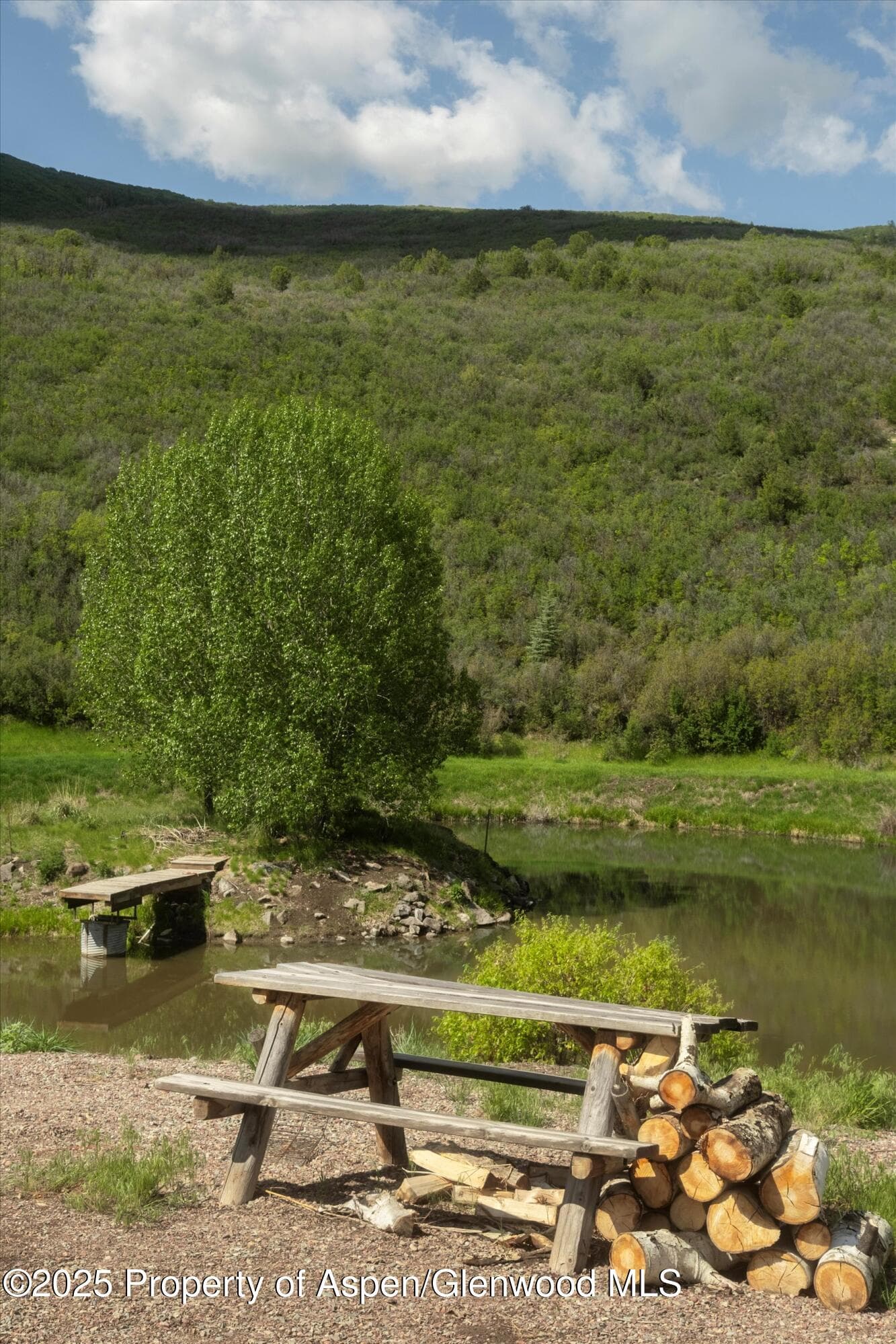 3691 E Sopris Creek Road, Basalt, CO 81621 - Photo 8