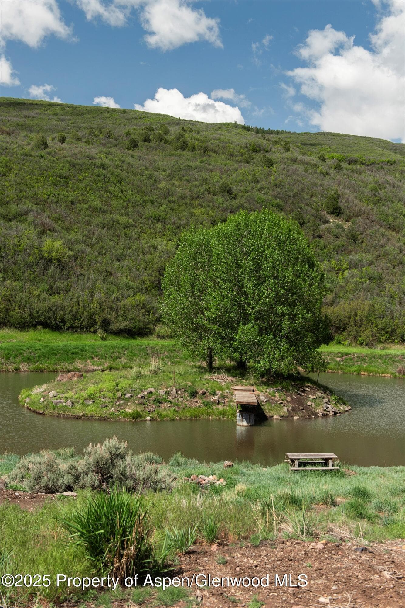 3691 E Sopris Creek Road, Basalt, CO 81621 - Photo 9